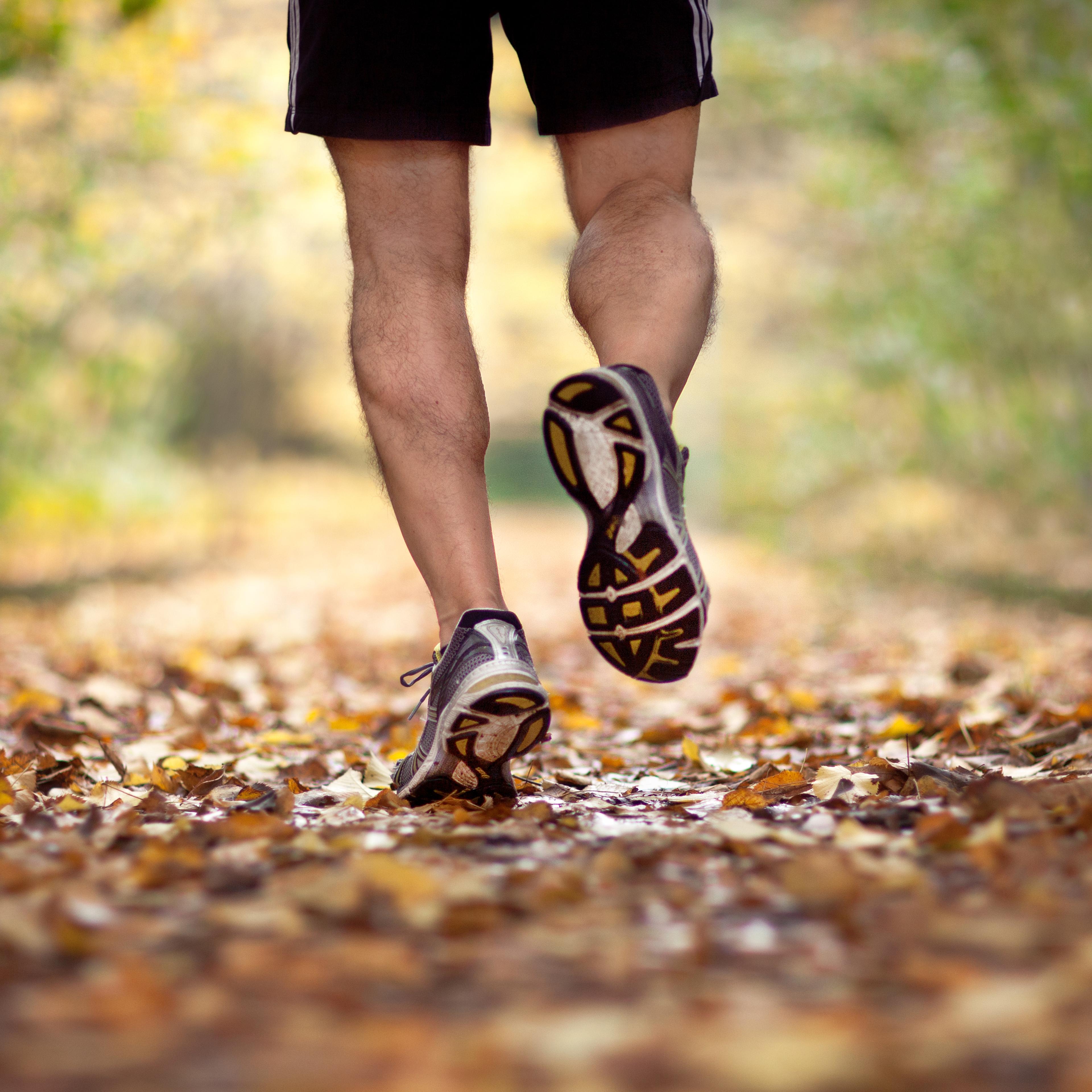 The runner