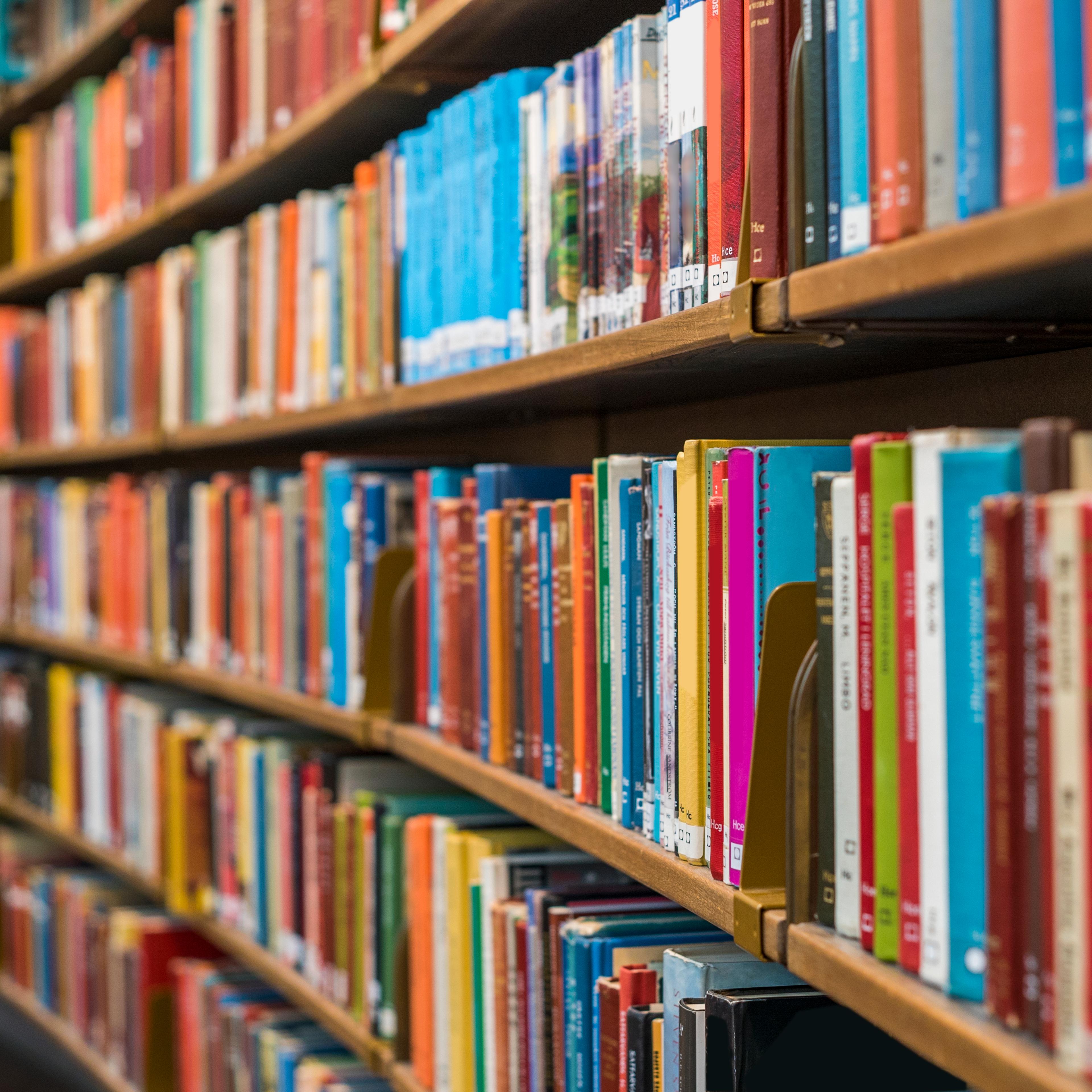 Books on bookshelves