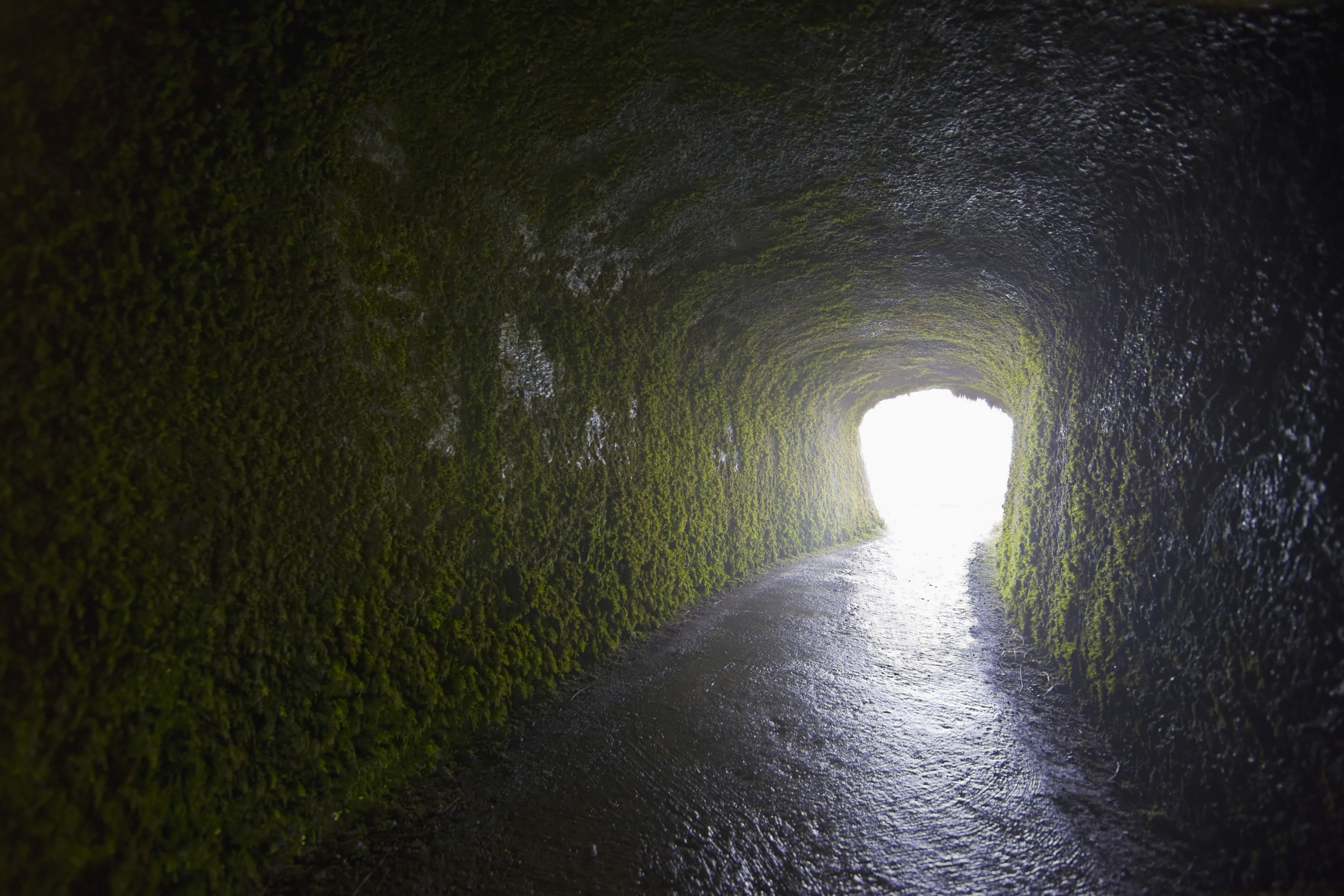 light-tunnel