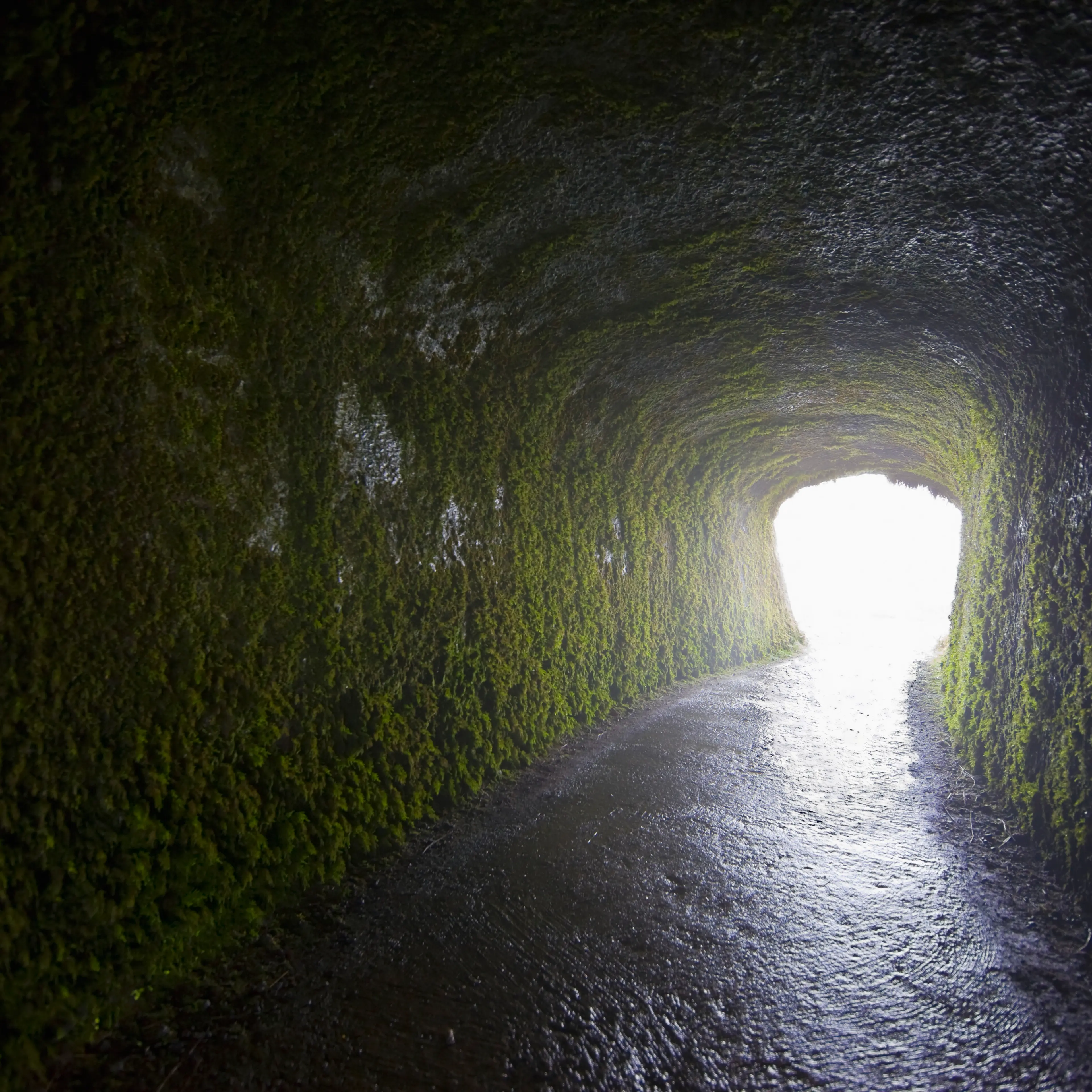 light-tunnel