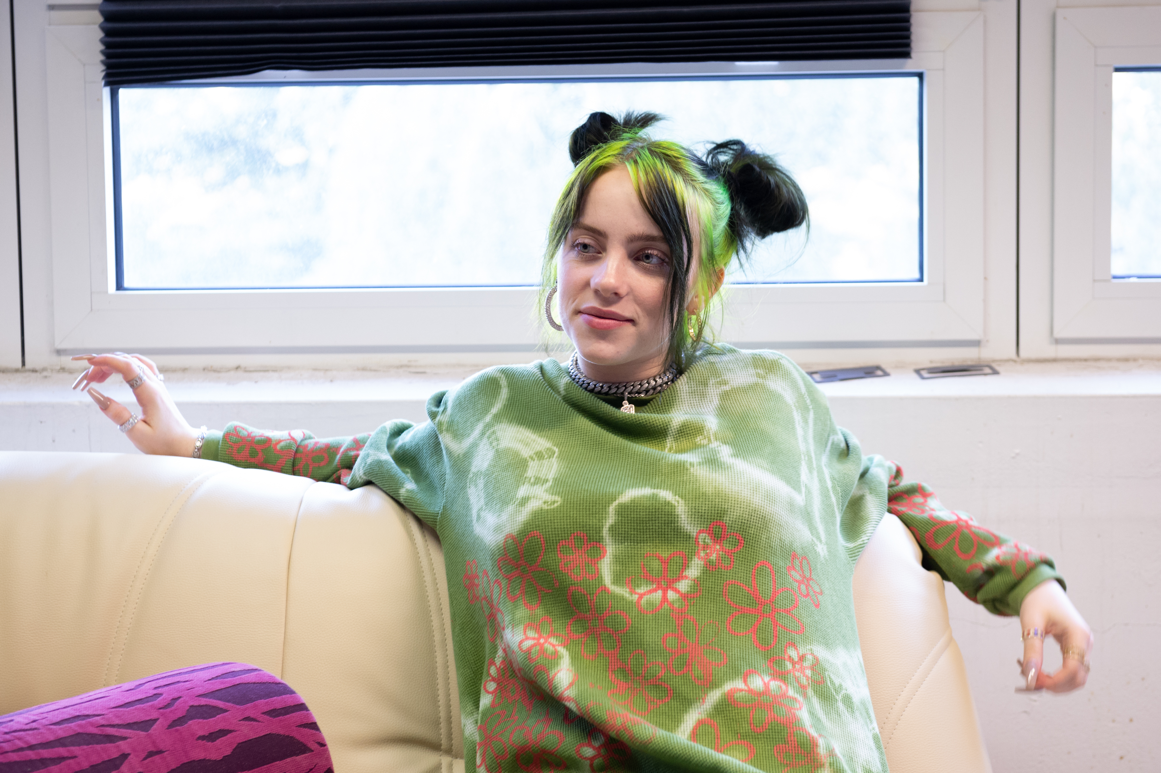 Dad Guy video parodies Billie Eilish song
