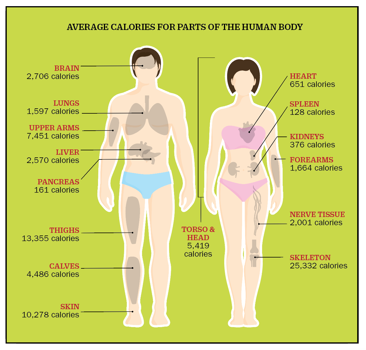 Why Did Cannibals Eat Other People? (Not For the Calories)