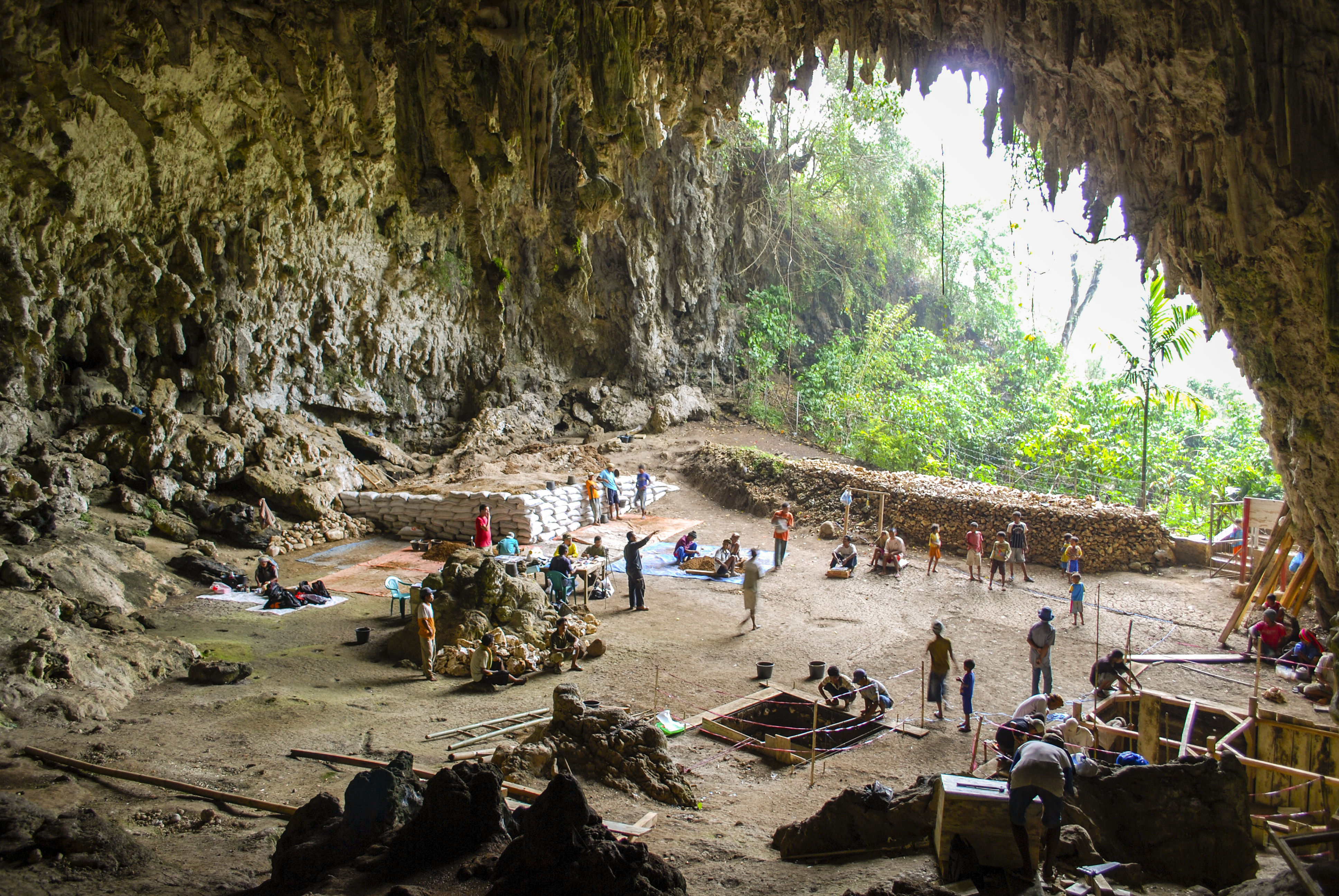 Liang Bua, a limestone cave on the Indonesian island of Flores. The Liang Bua team prepares for new archaeological excavations. Eight years of further excavations and study at the Indonesian cave site of Liang Bua have pushed back the time of disappearance of the ‘hobbits’ of Flores (Homo floresiensis) from as recently as 12,000 years ago to about 50,000 years ago.