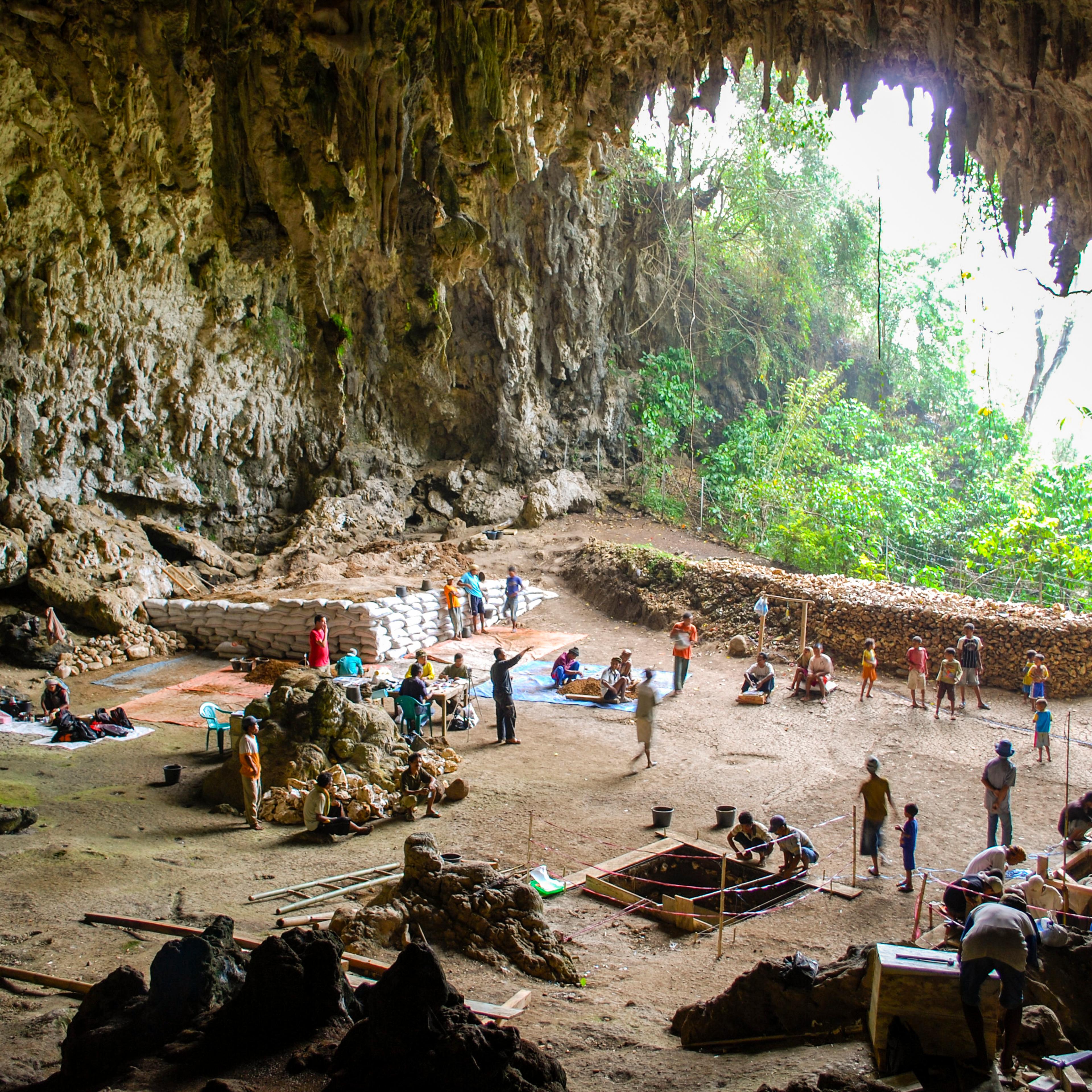 Liang Bua, a limestone cave on the Indonesian island of Flores. The Liang Bua team prepares for new archaeological excavations. Eight years of further excavations and study at the Indonesian cave site of Liang Bua have pushed back the time of disappearance of the ‘hobbits’ of Flores (Homo floresiensis) from as recently as 12,000 years ago to about 50,000 years ago.