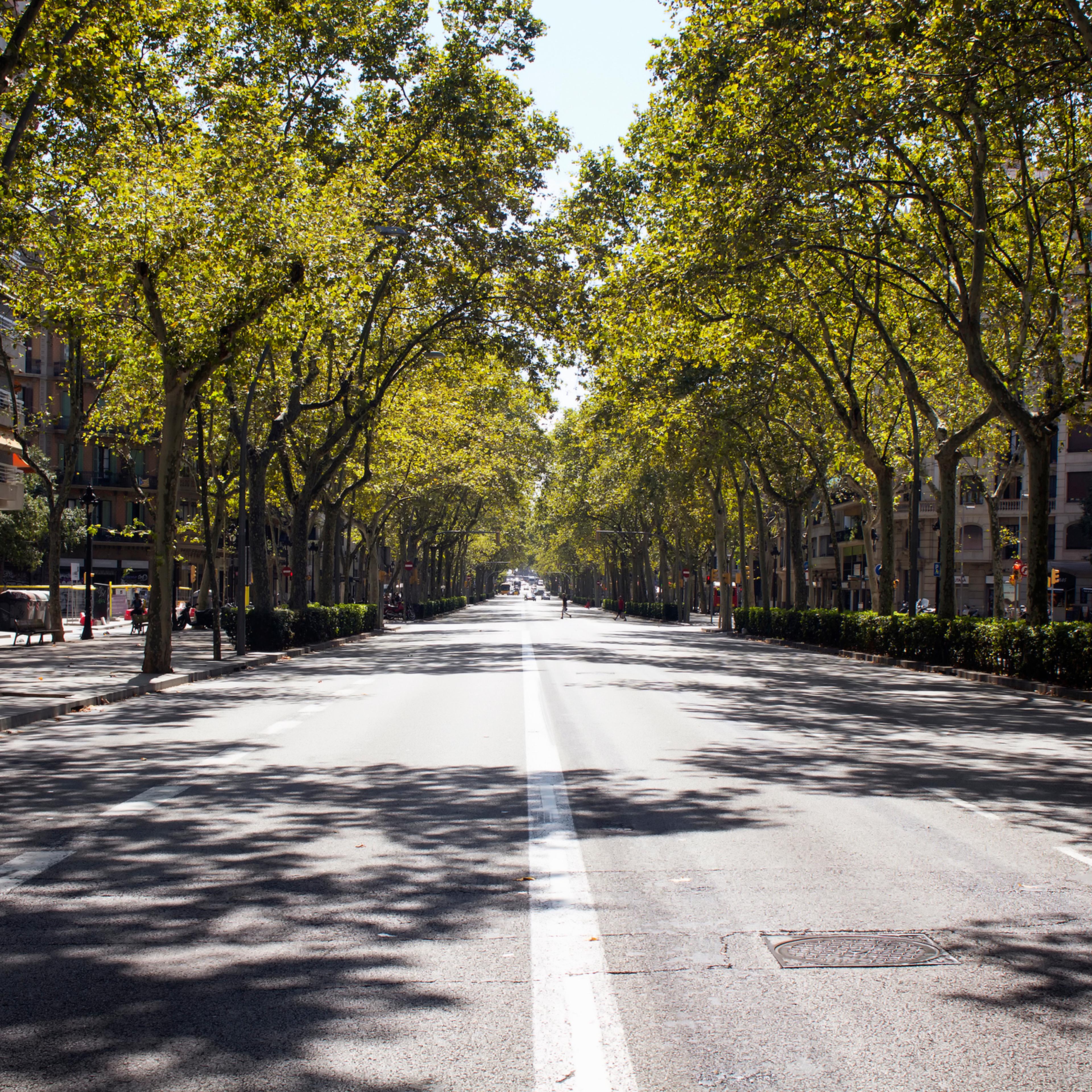 View of one of the main avenues called "Gran Via de les Corts Catalanes"