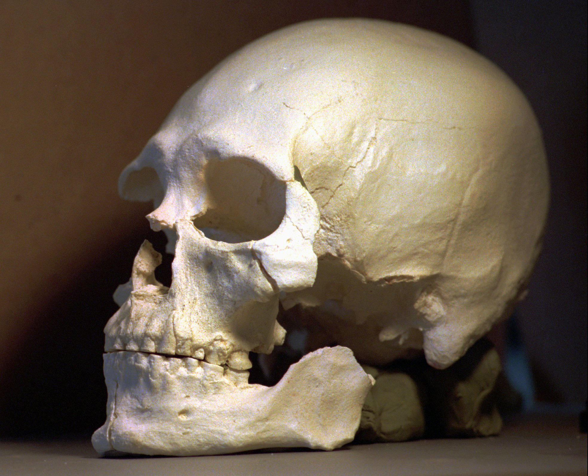 kennewick-man.jpg?branch=
