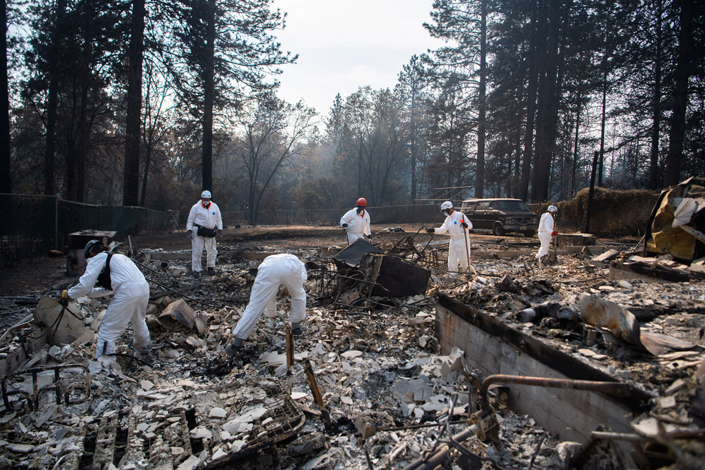 stuart-palley-paradise-california-camp-fire