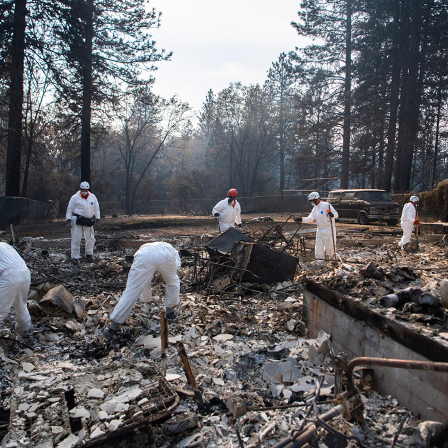 stuart-palley-paradise-california-camp-fire