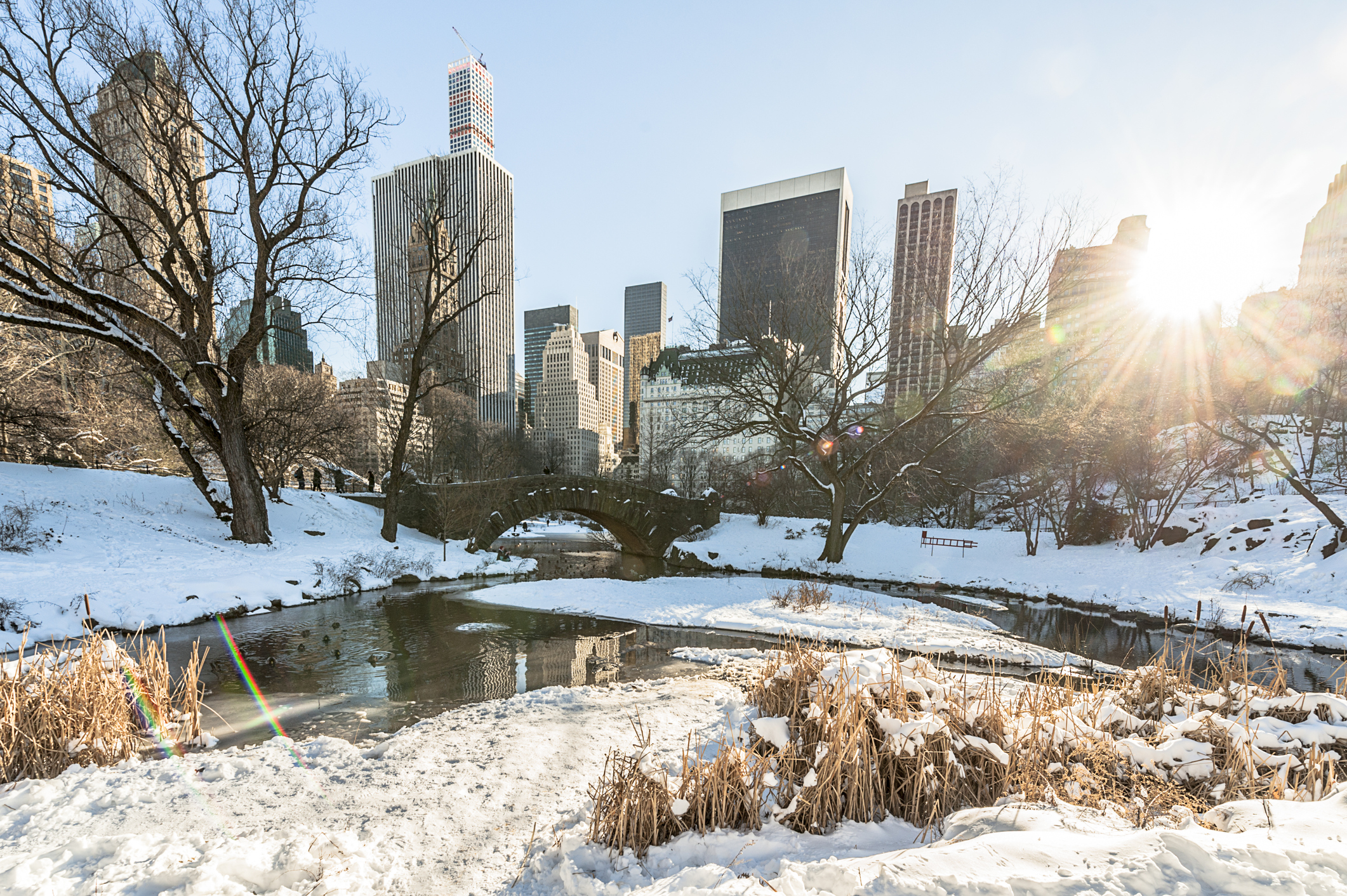 Central Park