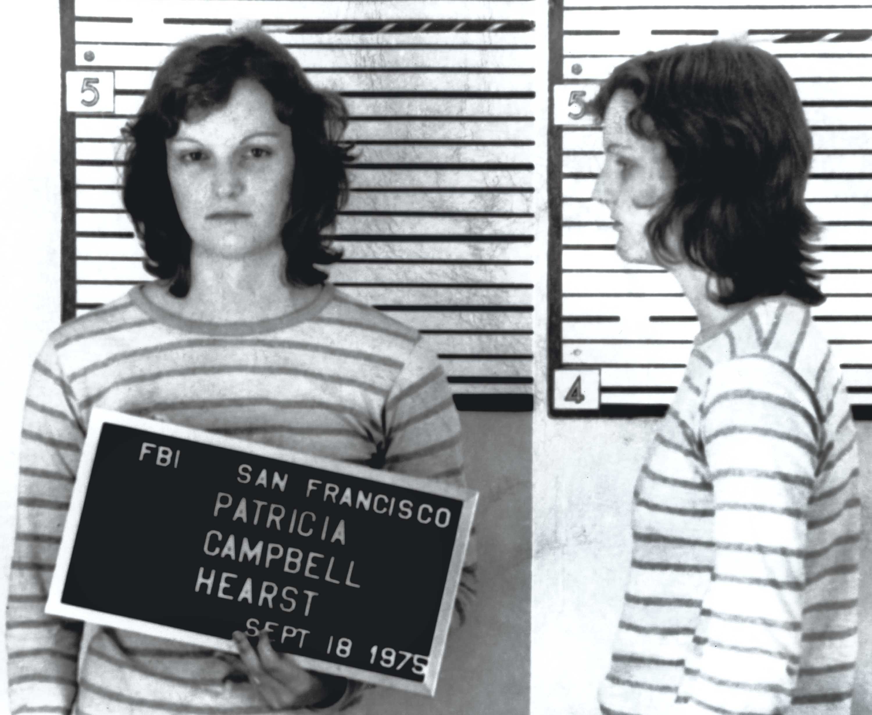 patty-hearst-american-heiress-the-wild-saga-of-the-kidnapping-crimes-and-trial-of-patty-hearts-jeffrey-toobin-book-seventies-crime