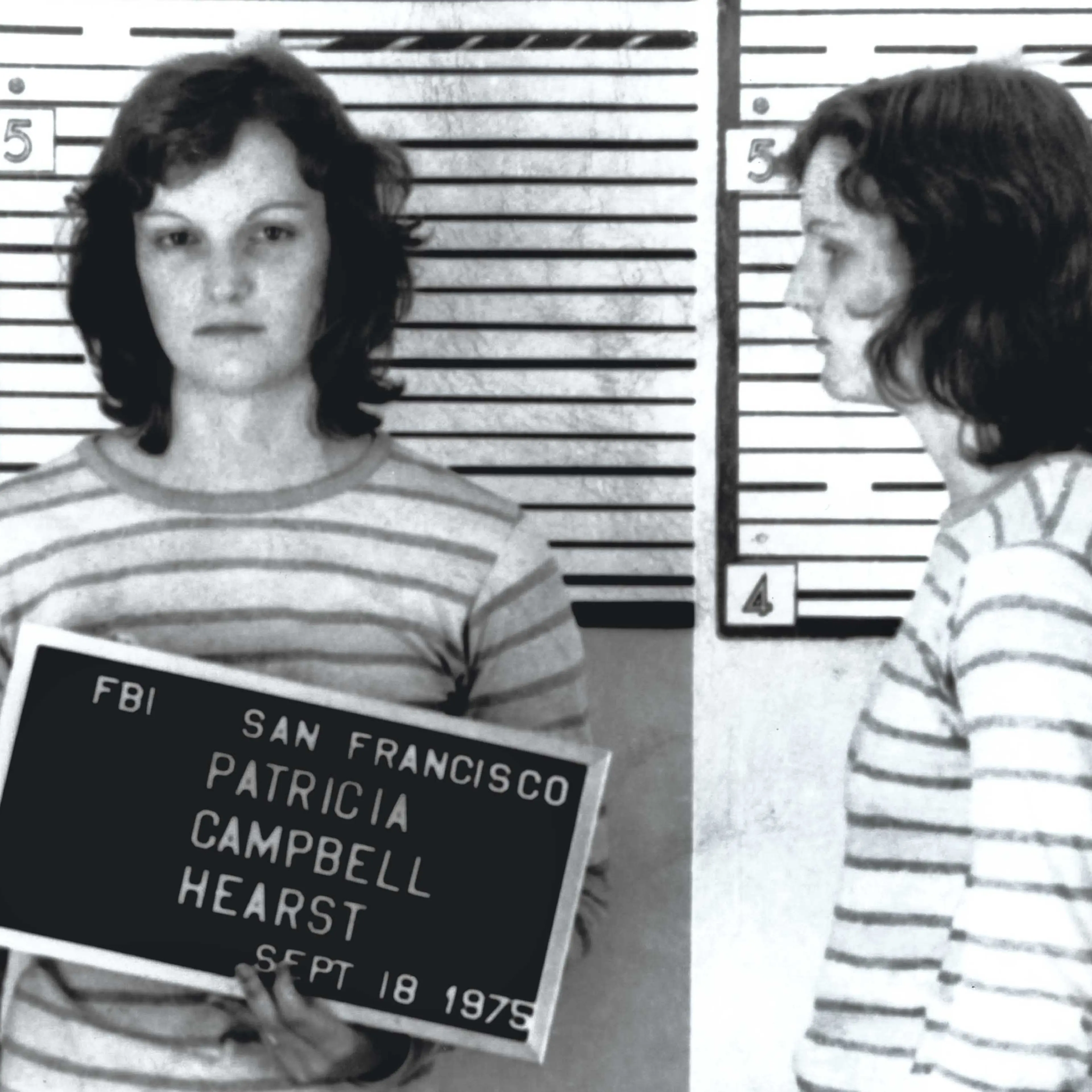 patty-hearst-american-heiress-the-wild-saga-of-the-kidnapping-crimes-and-trial-of-patty-hearts-jeffrey-toobin-book-seventies-crime