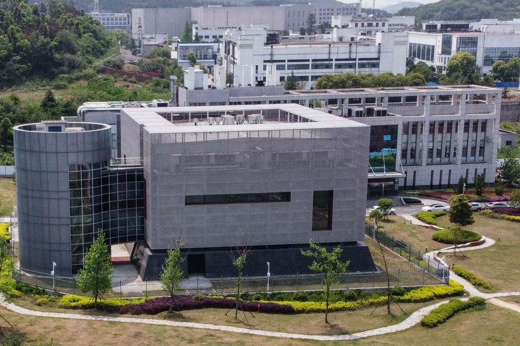 Wuhan Lab Coronavirus