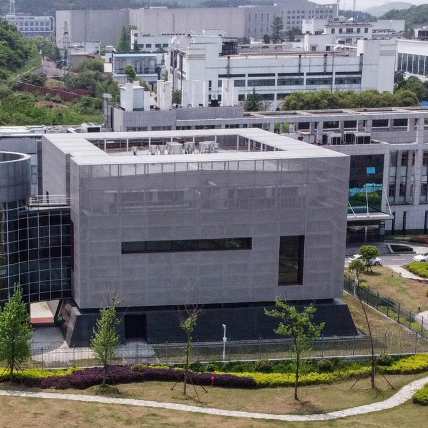 Wuhan Lab Coronavirus