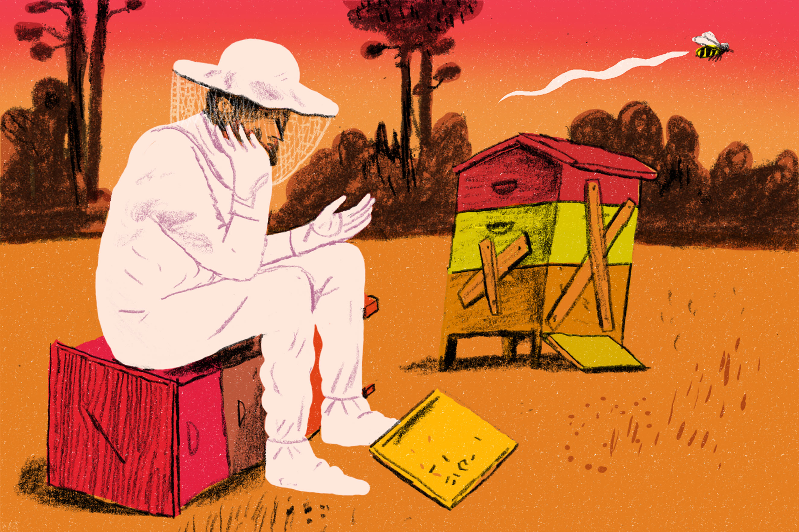 You Asked: Are Honeybees Still Disappearing?