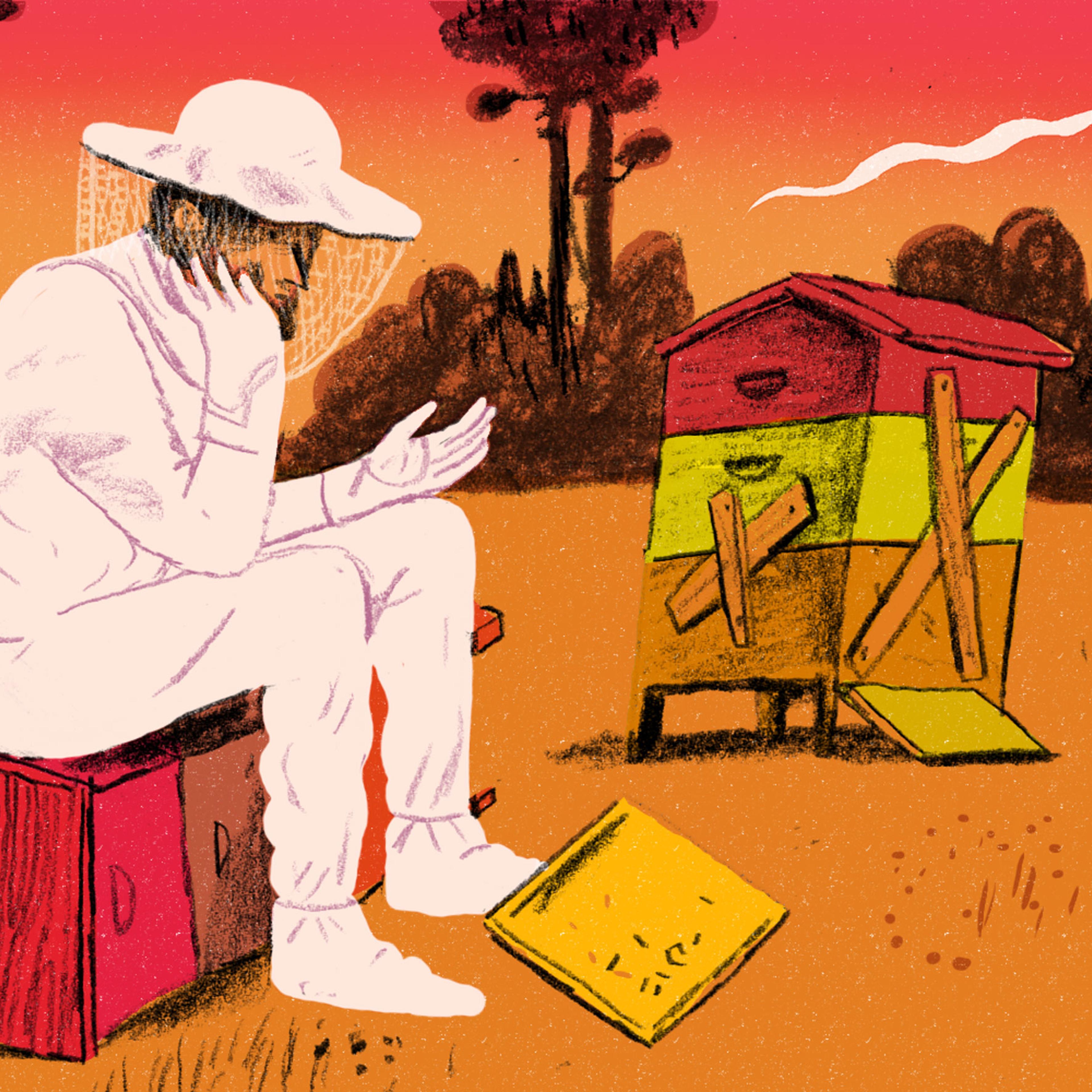 You Asked: Are Honeybees Still Disappearing?