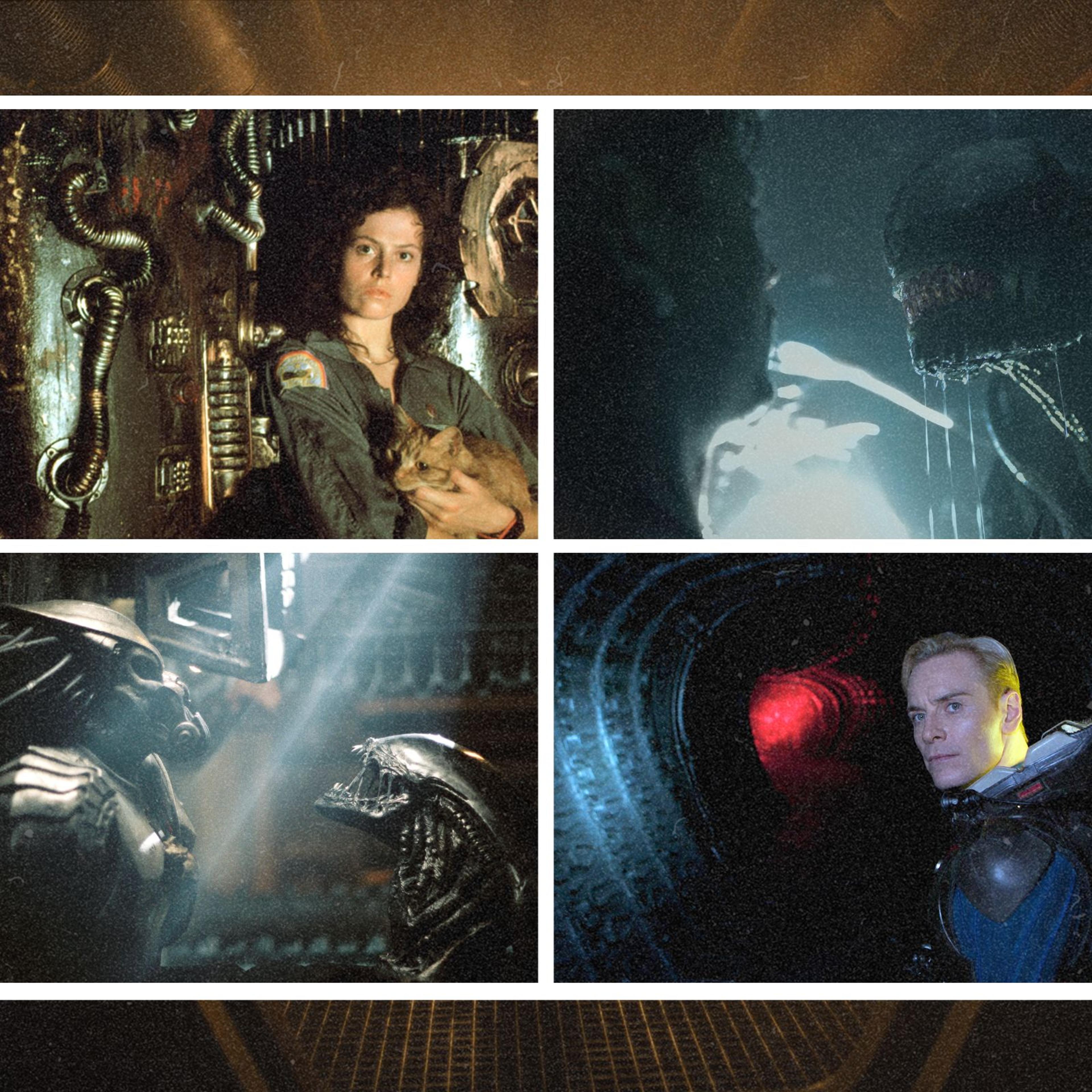 stills from Alien, Alien: Romulus, Alien: Covenant, and Alien vs. Predator