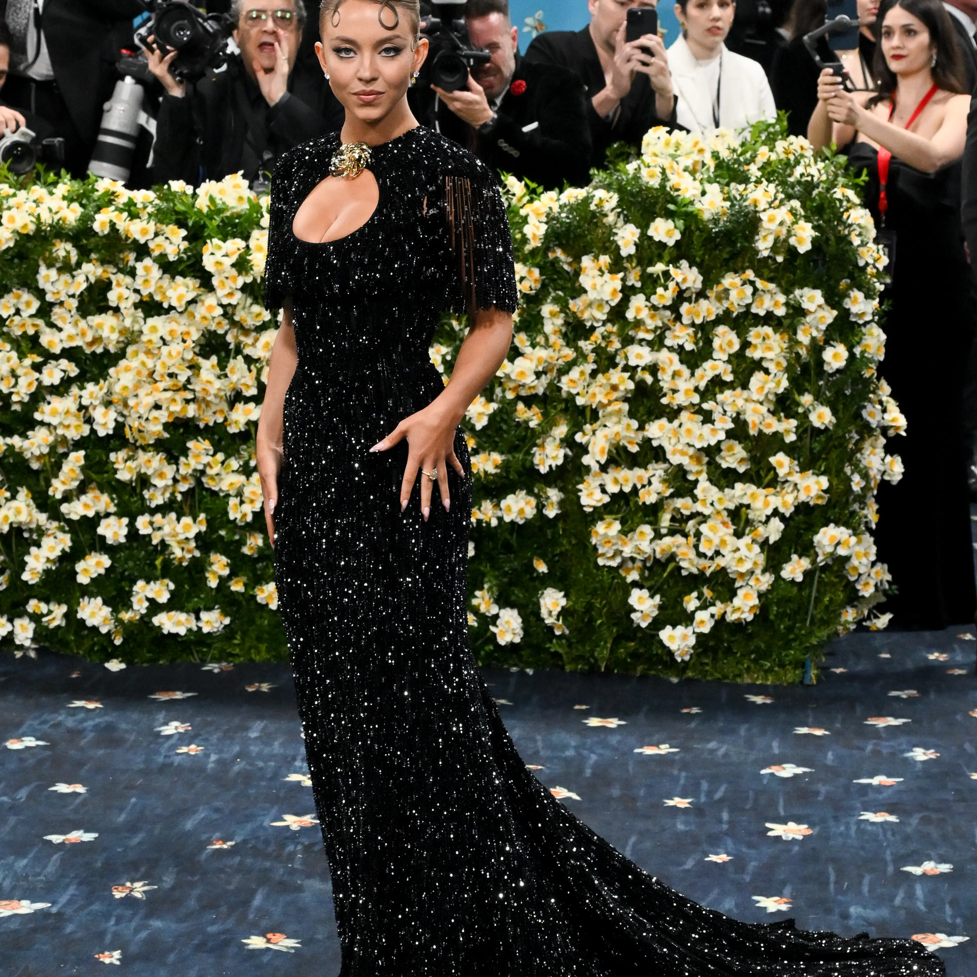 The 2025 Met Gala Celebrating "Superfine: Tailoring Black Style"