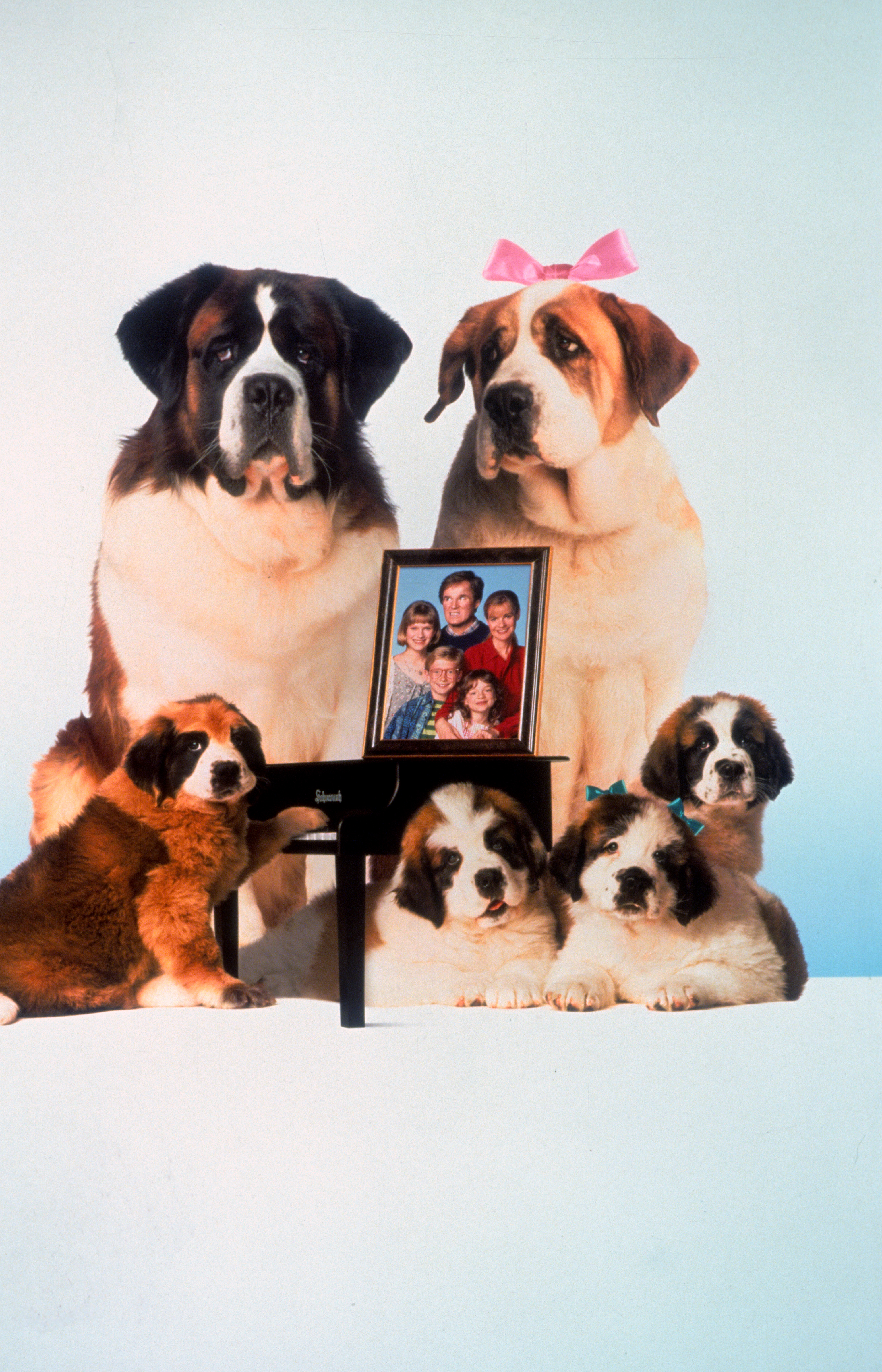 Most Famoous Dogs - Beethoven