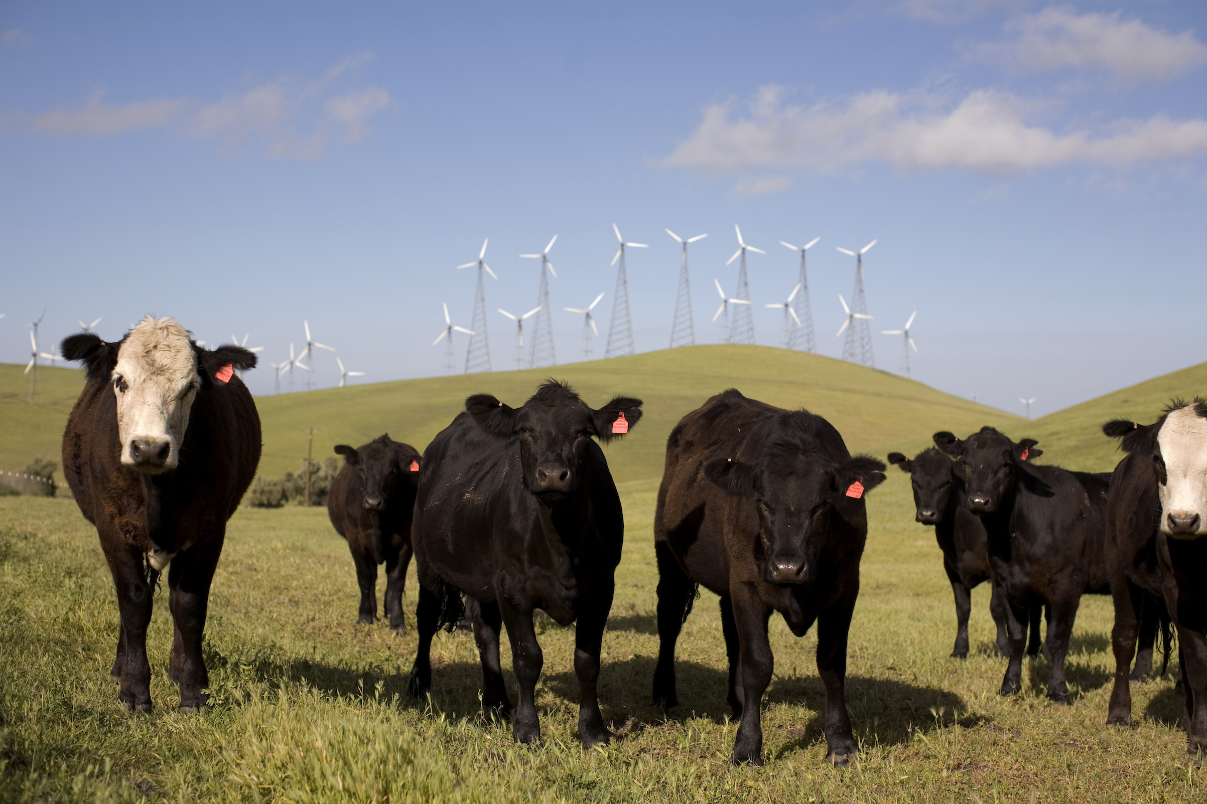 CA: Alternative Energy Resources