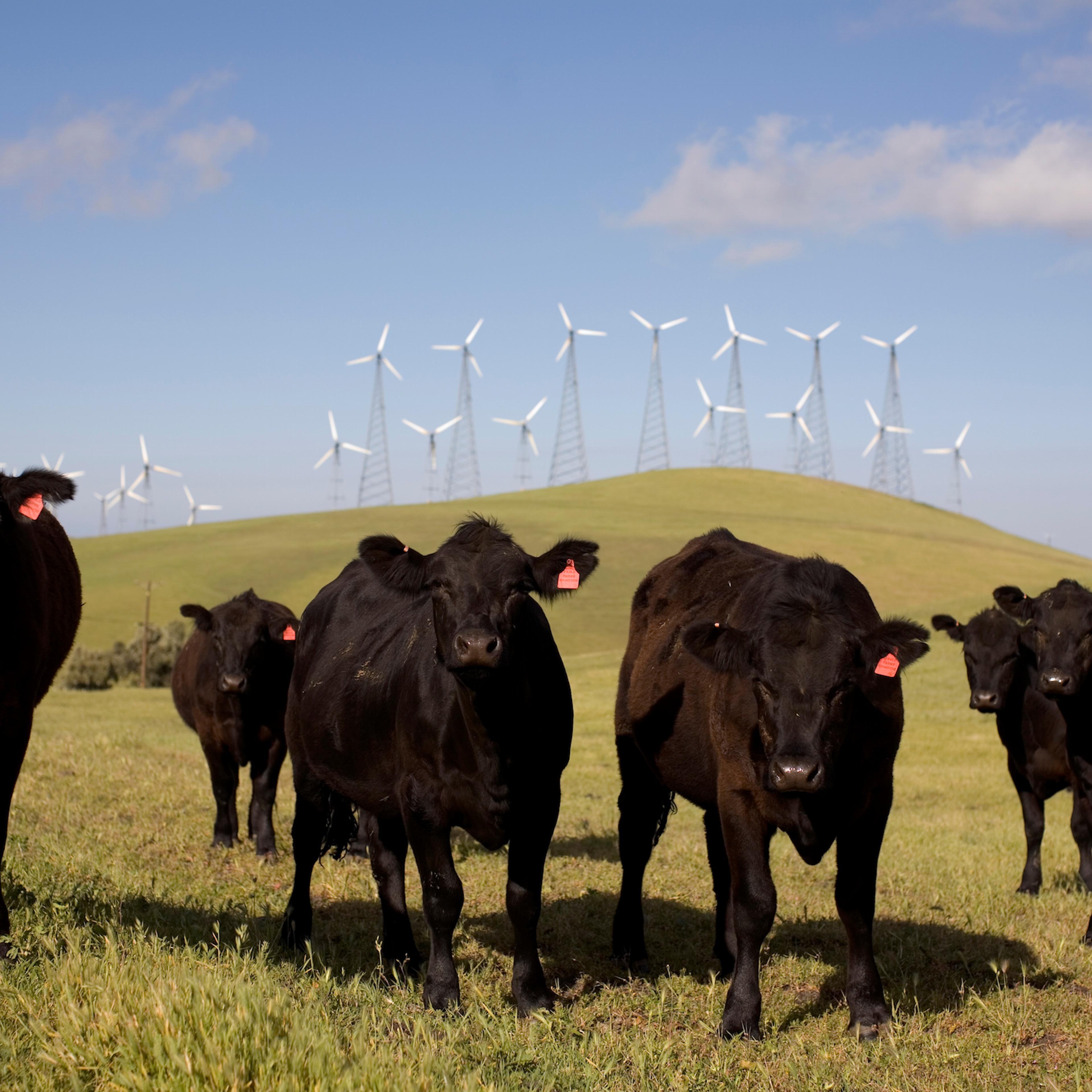 CA: Alternative Energy Resources