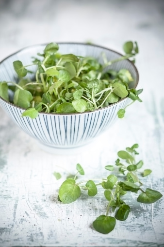 watercress-bowl-table