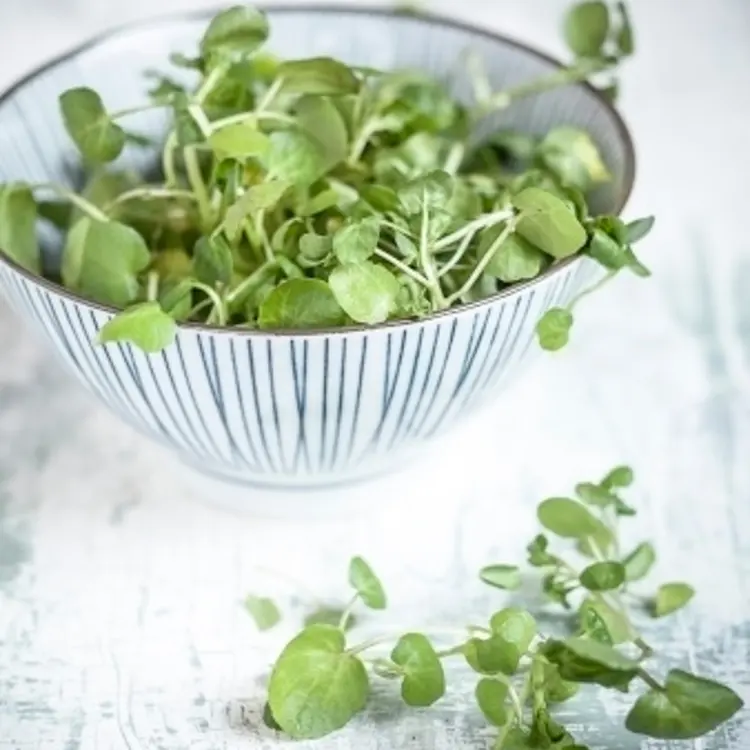 watercress-bowl-table
