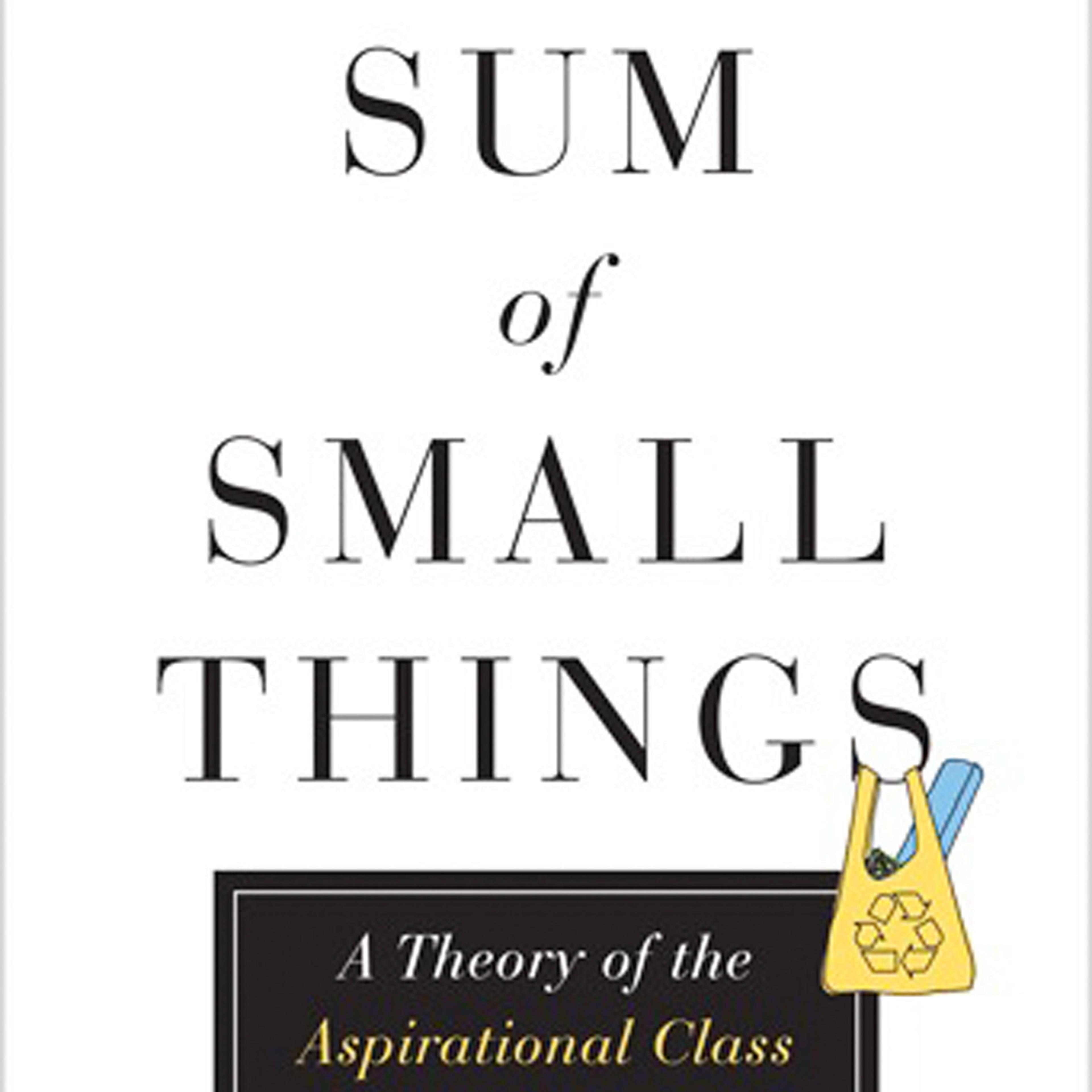 new-conspicuous-consumption-book-sum-small-things