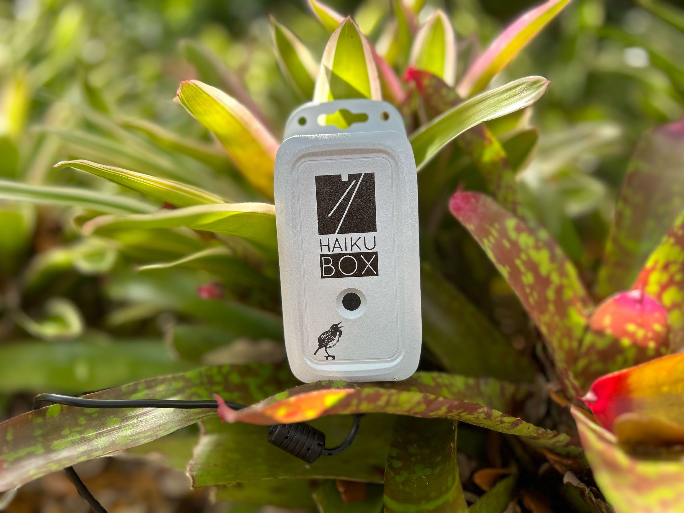 Haikubox Best Inventions
