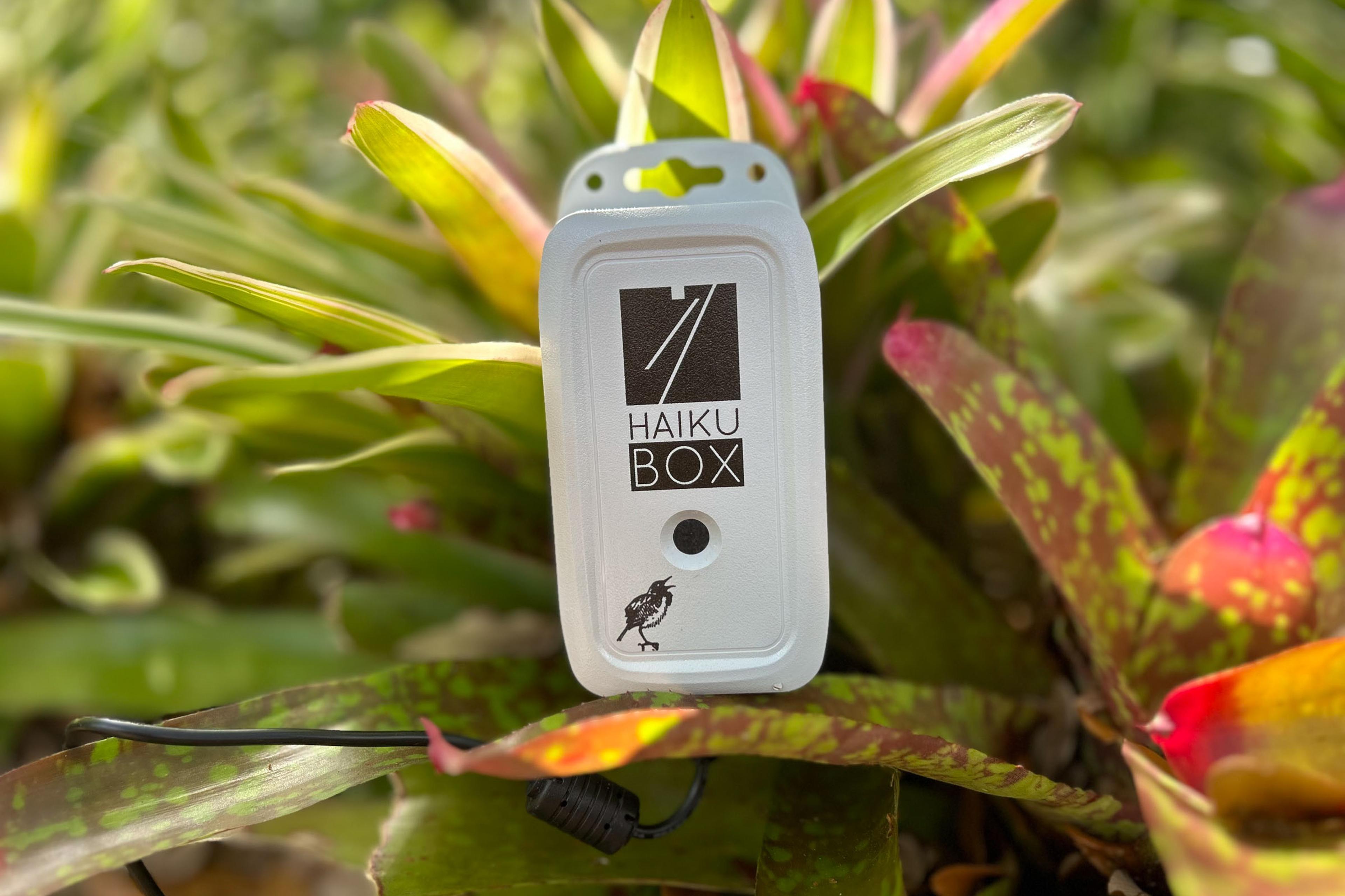 Haikubox Best Inventions