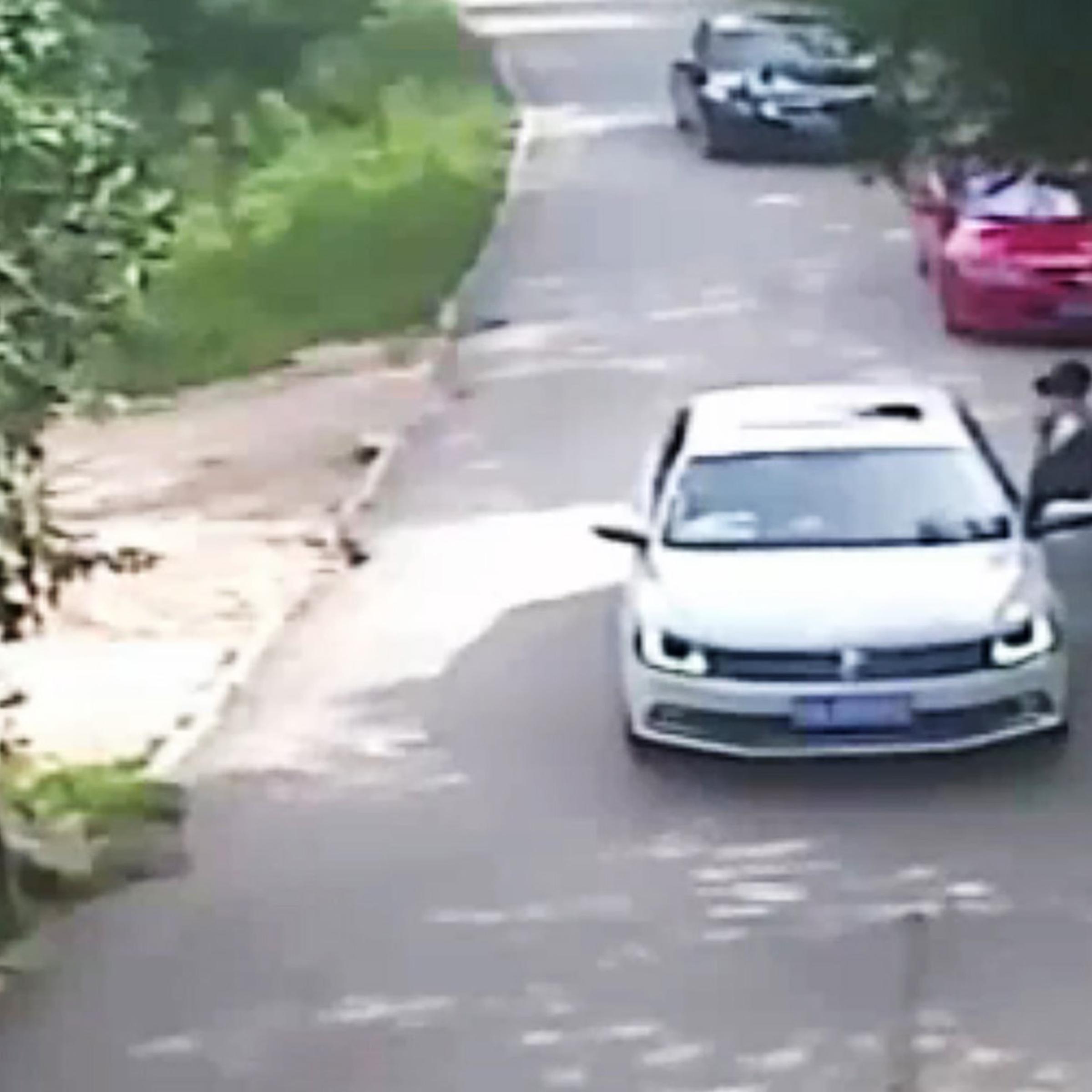 This video frame grab received from China's state broadcaster CCTV shows a tiger attacking a passenger after she stepped out a car at Beijing Badaling Wildlife World on July 23, 2016.