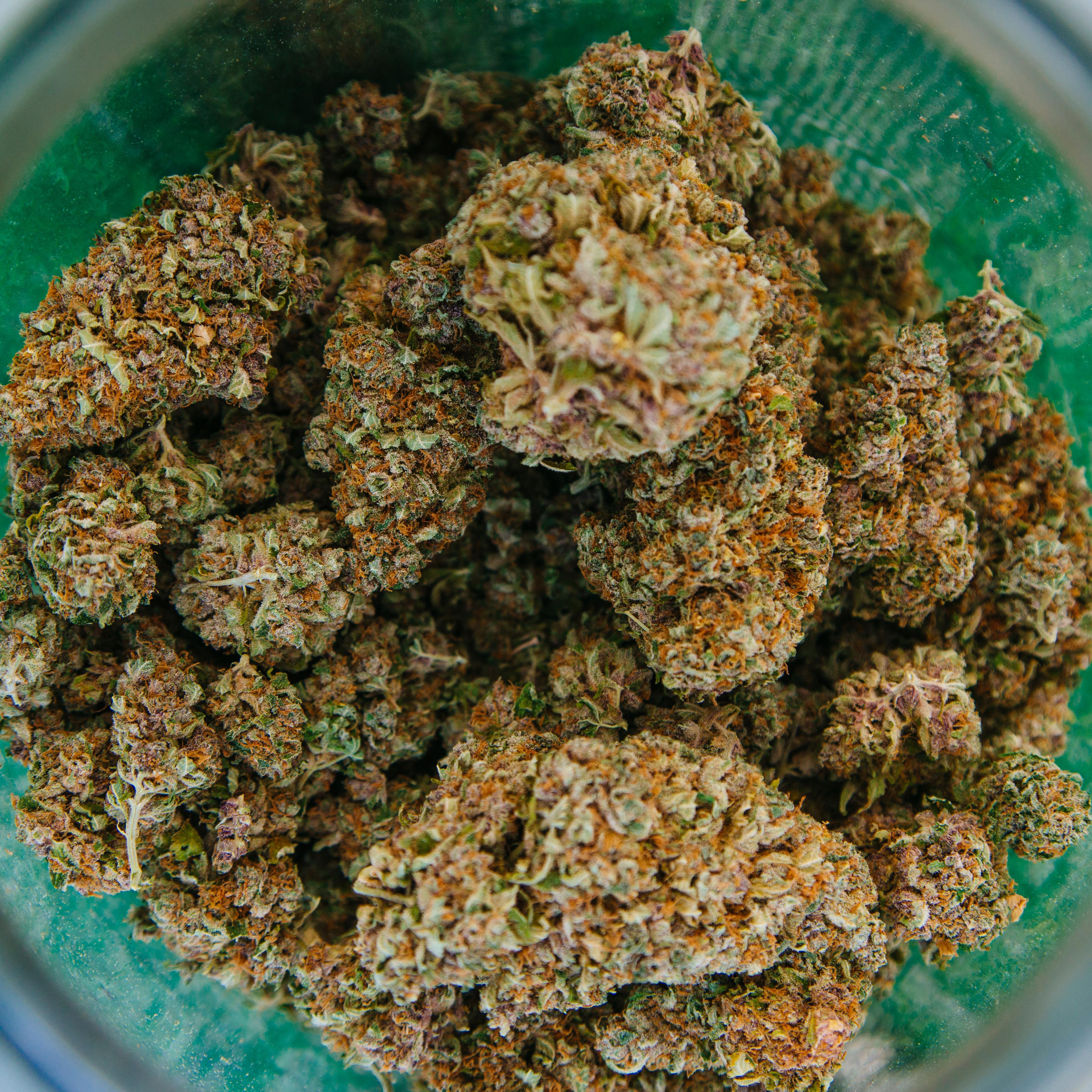 2014 Cannabis Cup in San Bernardino
