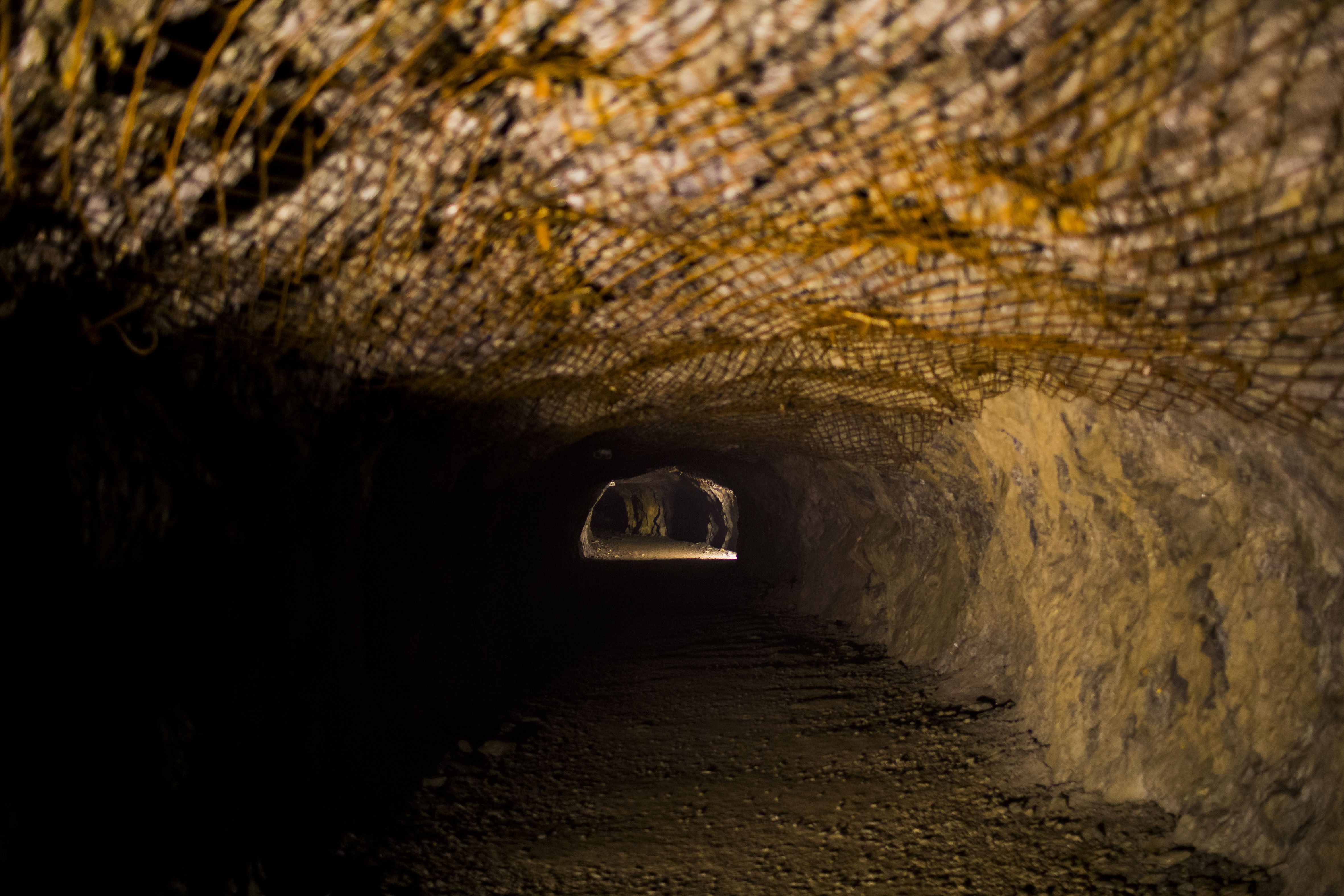 Nazi Gold Train in Poland Doesn't Exist, Scientists Say