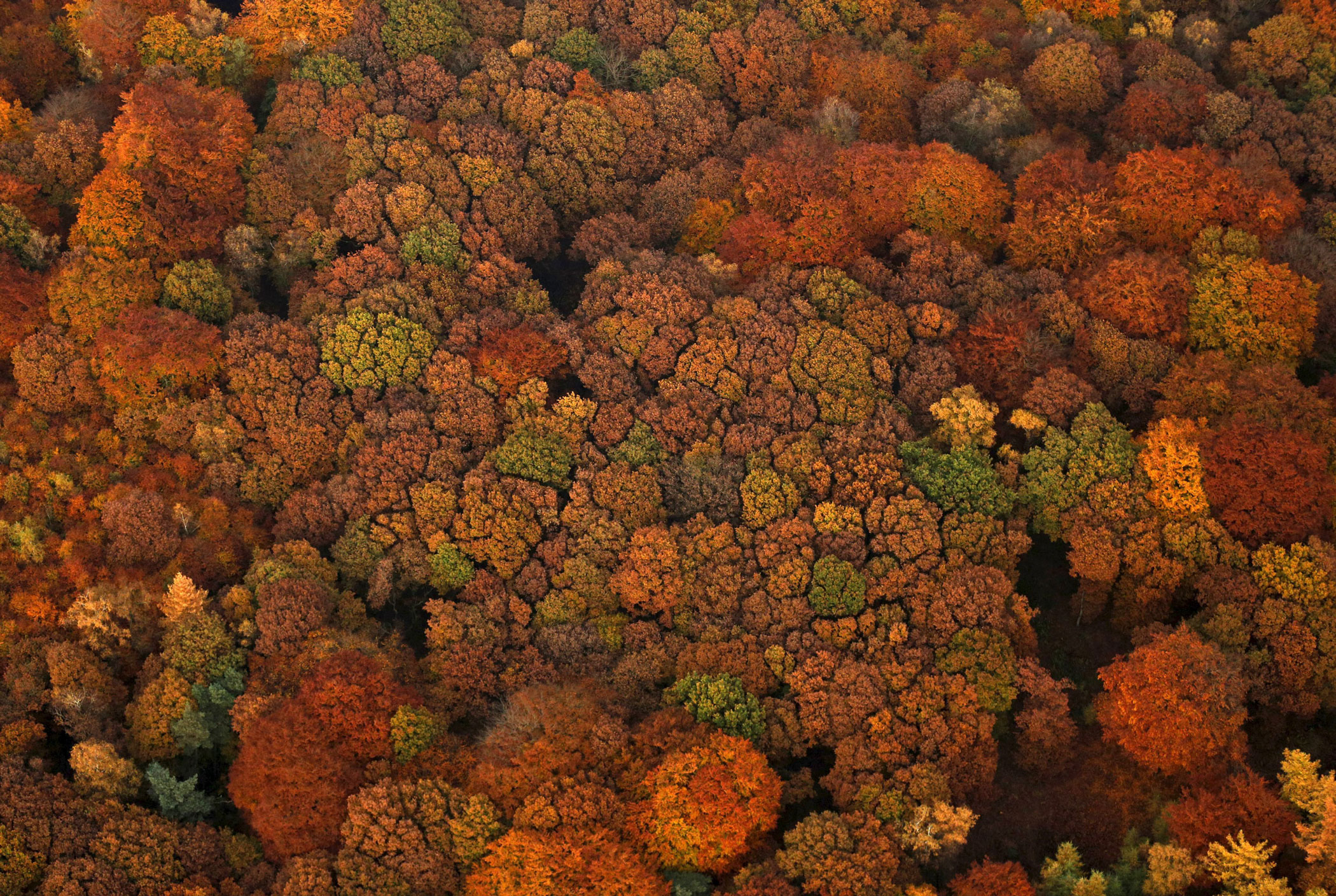 See the Breathtaking Colors of Germany in Autumn