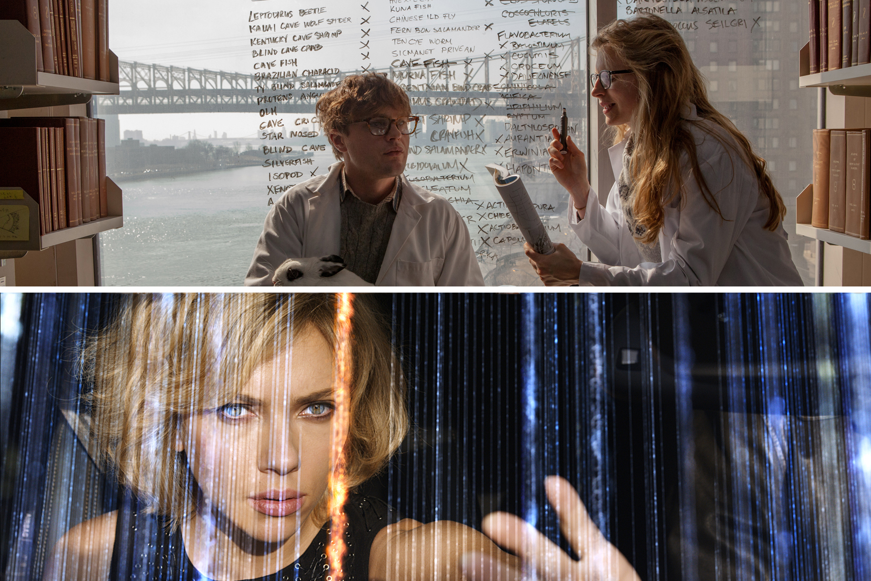 Lucy / I Origins