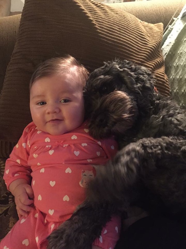Viv and Polo 