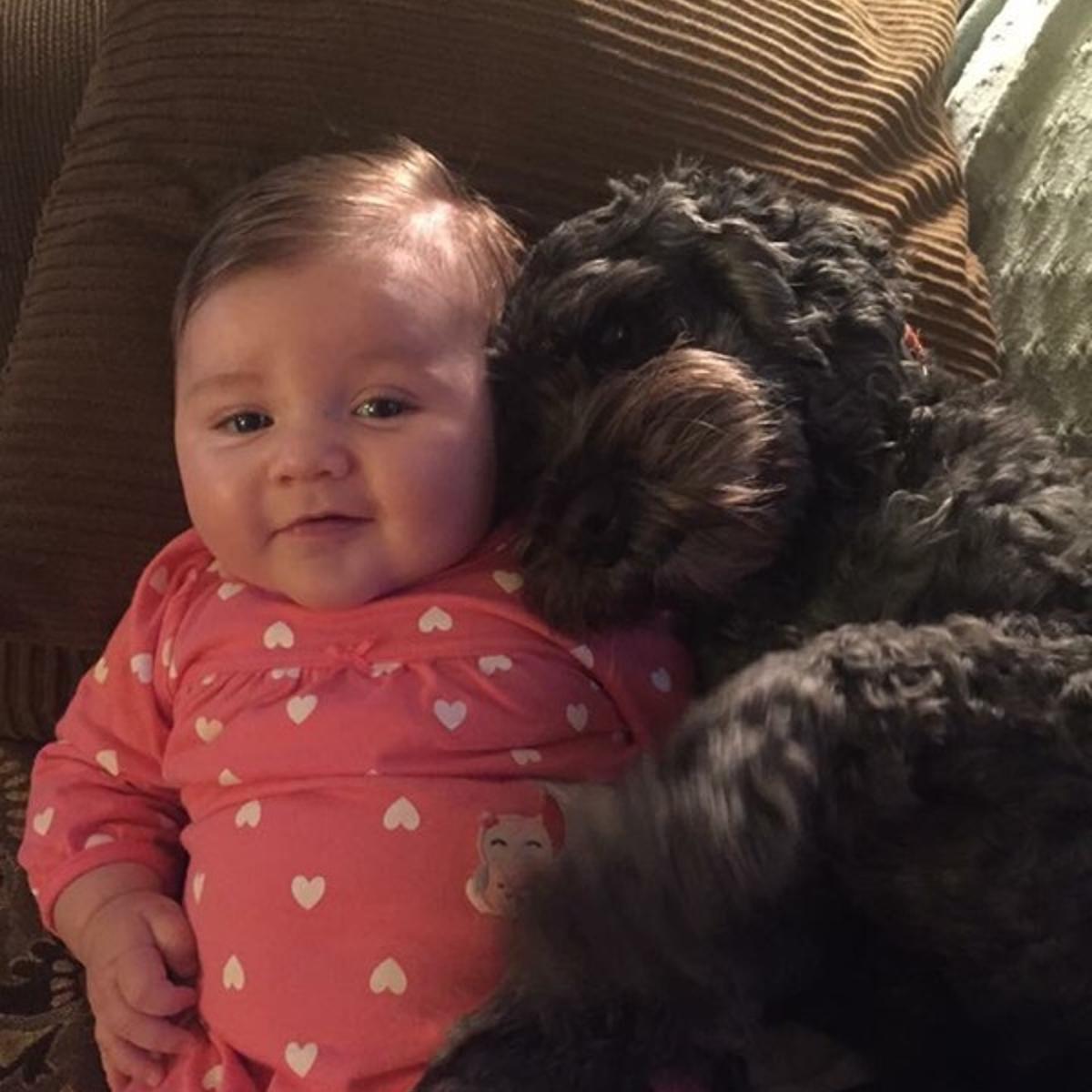 Viv and Polo