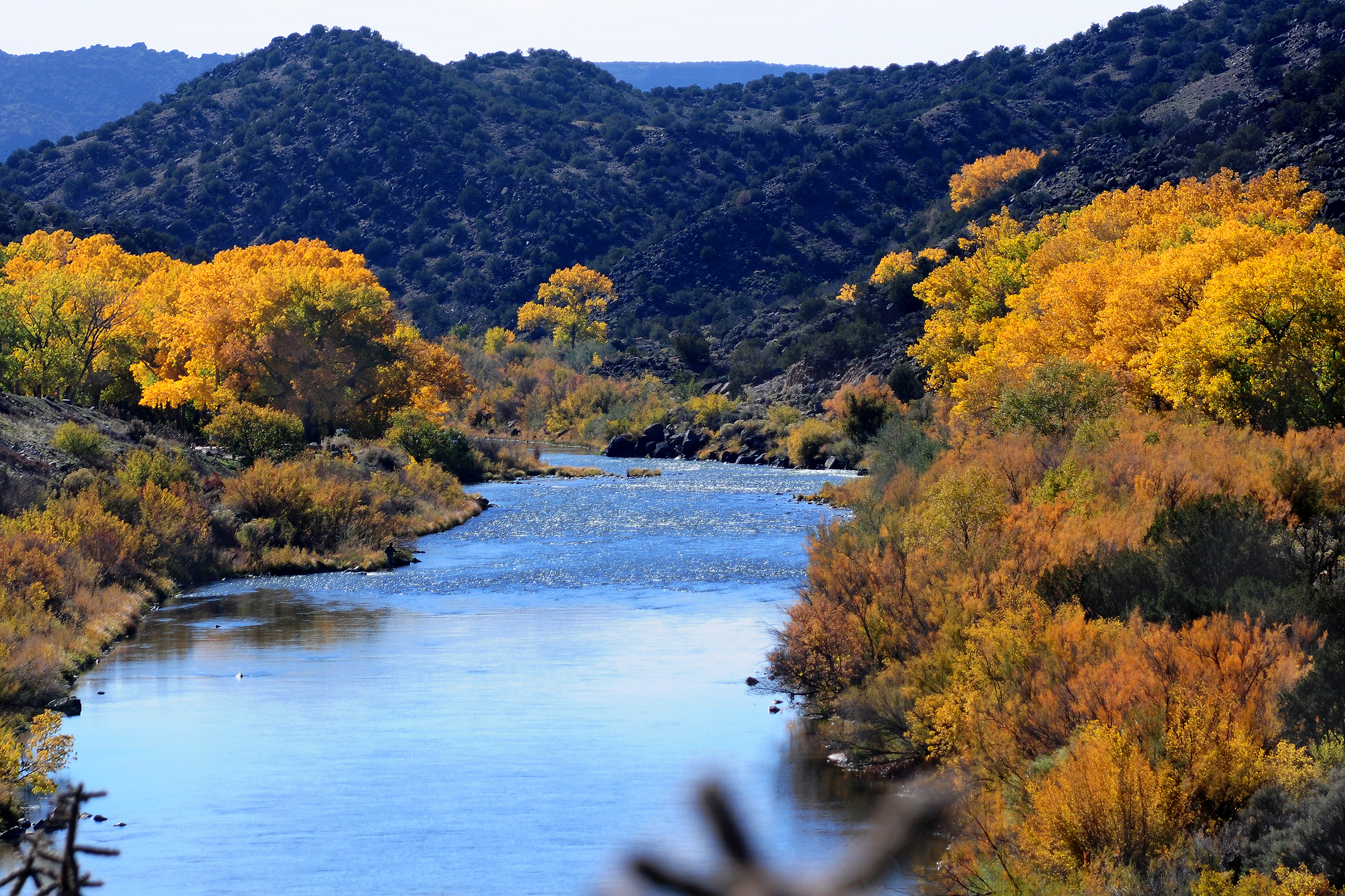 New Mexico Scenics