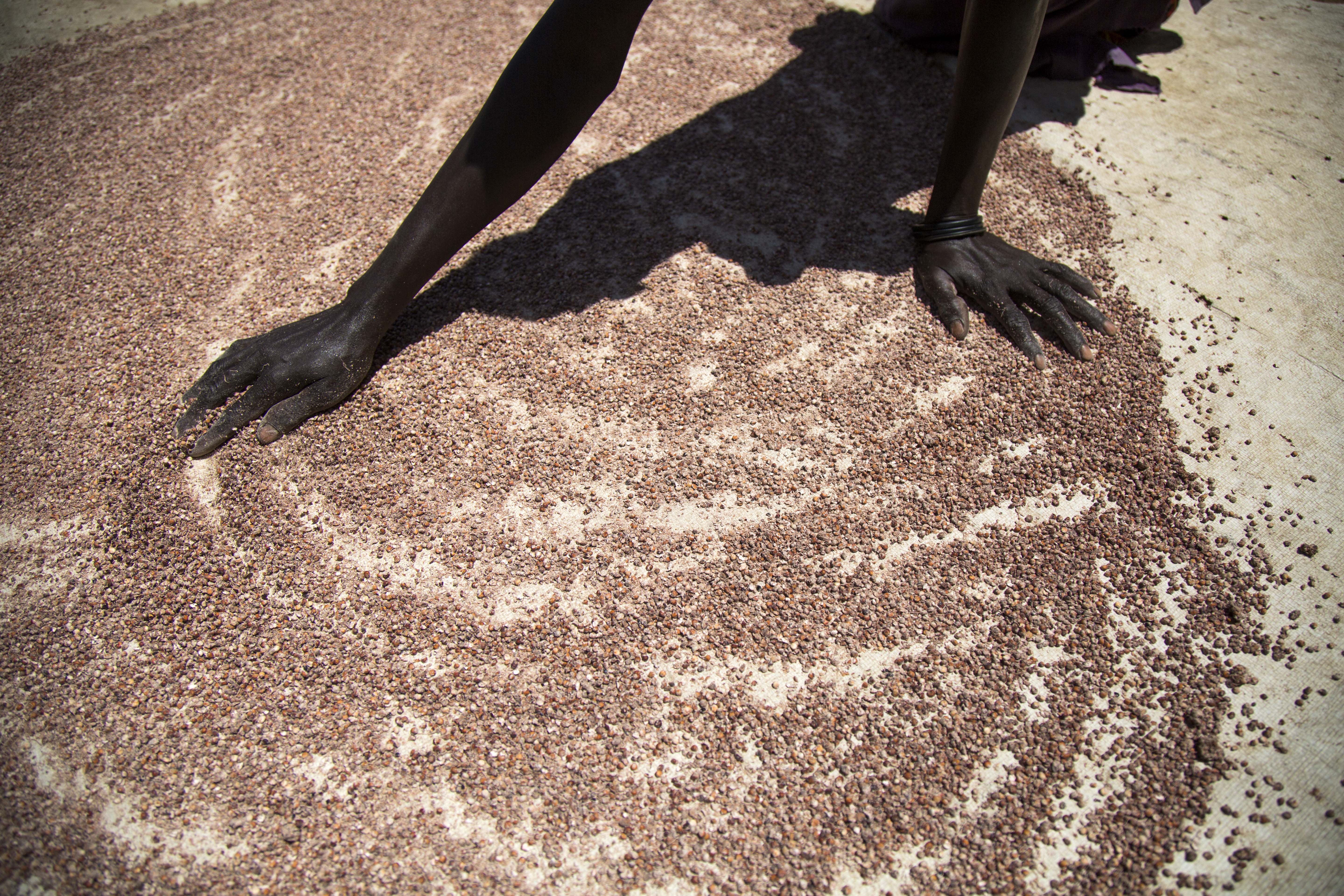 Famine in Sudan and Yemen
