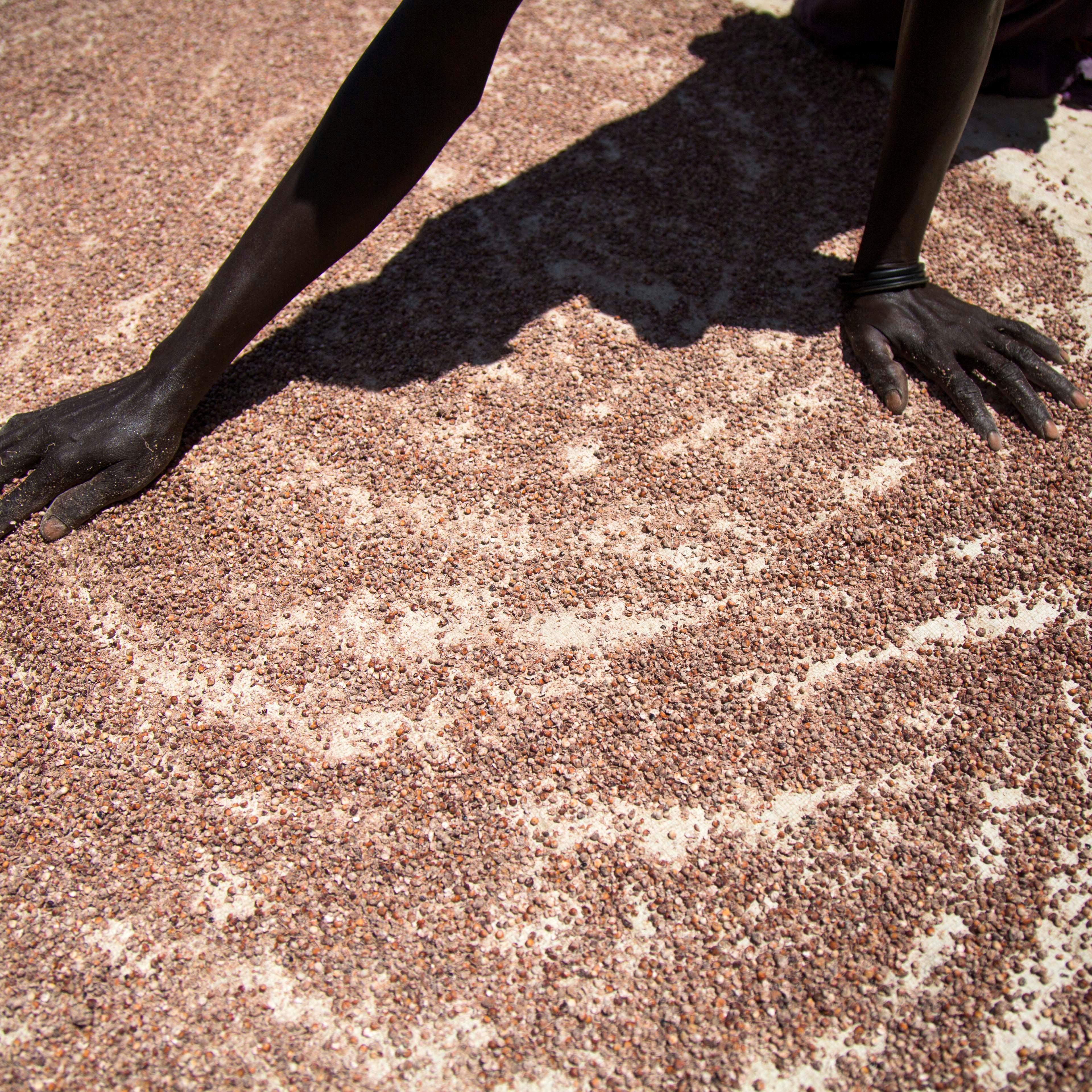 Famine in Sudan and Yemen