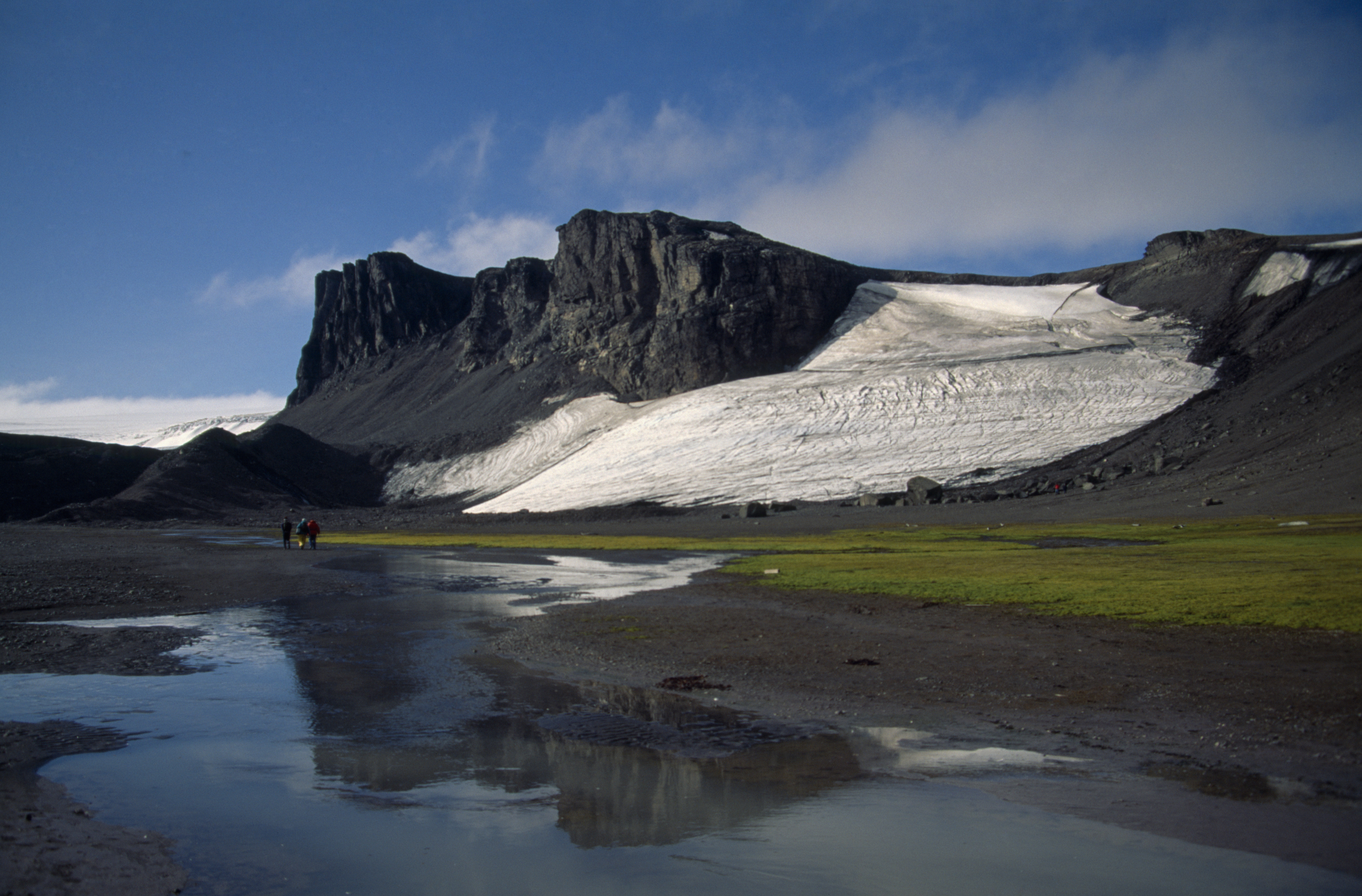 ANTARCTICA Antarctic Peninsula Livingstone Island Hannah Point. Landscape with moss beds.