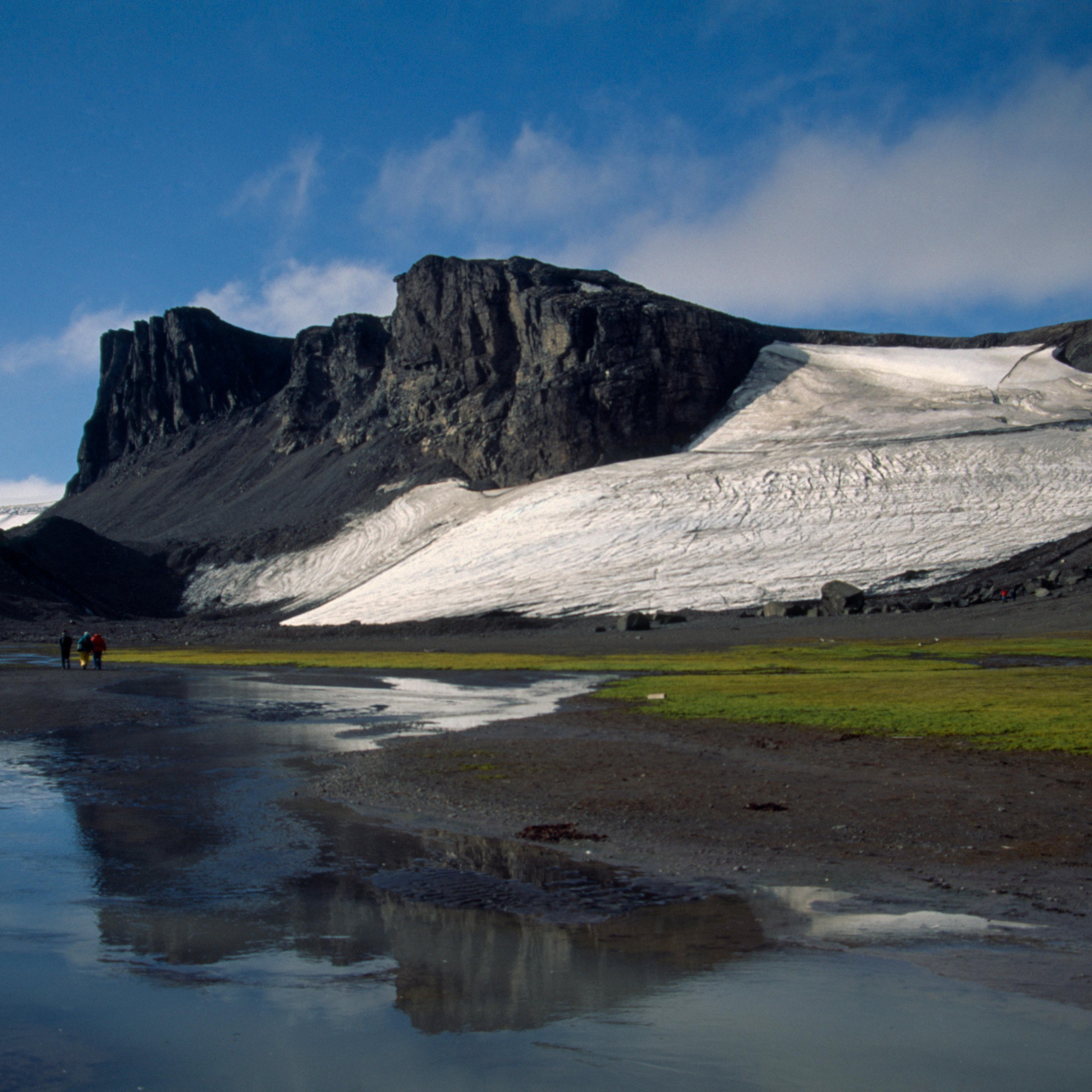 ANTARCTICA Antarctic Peninsula Livingstone Island Hannah Point. Landscape with moss beds.