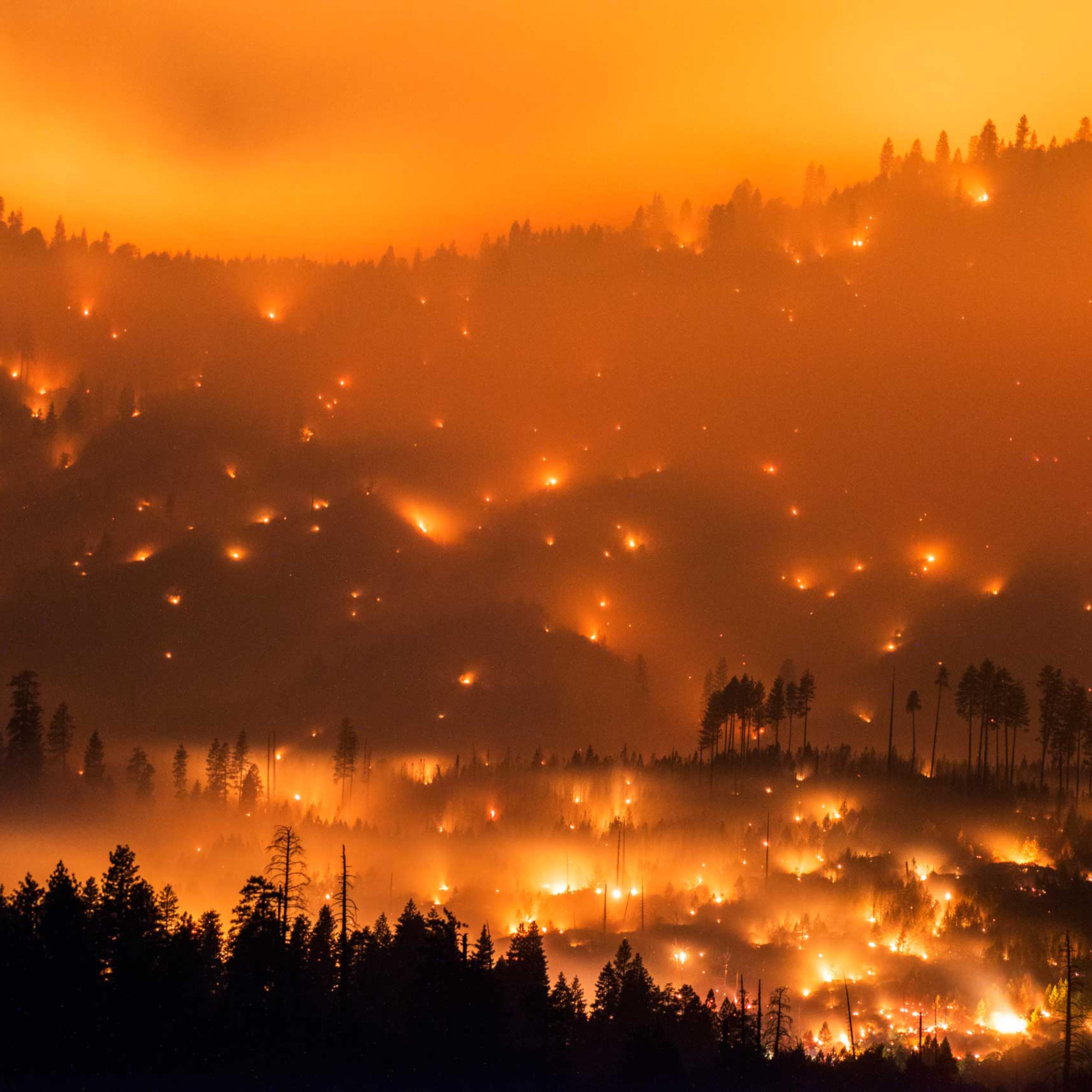 Yosemite Wildfire Stuart Palley Natural Disasters 2014