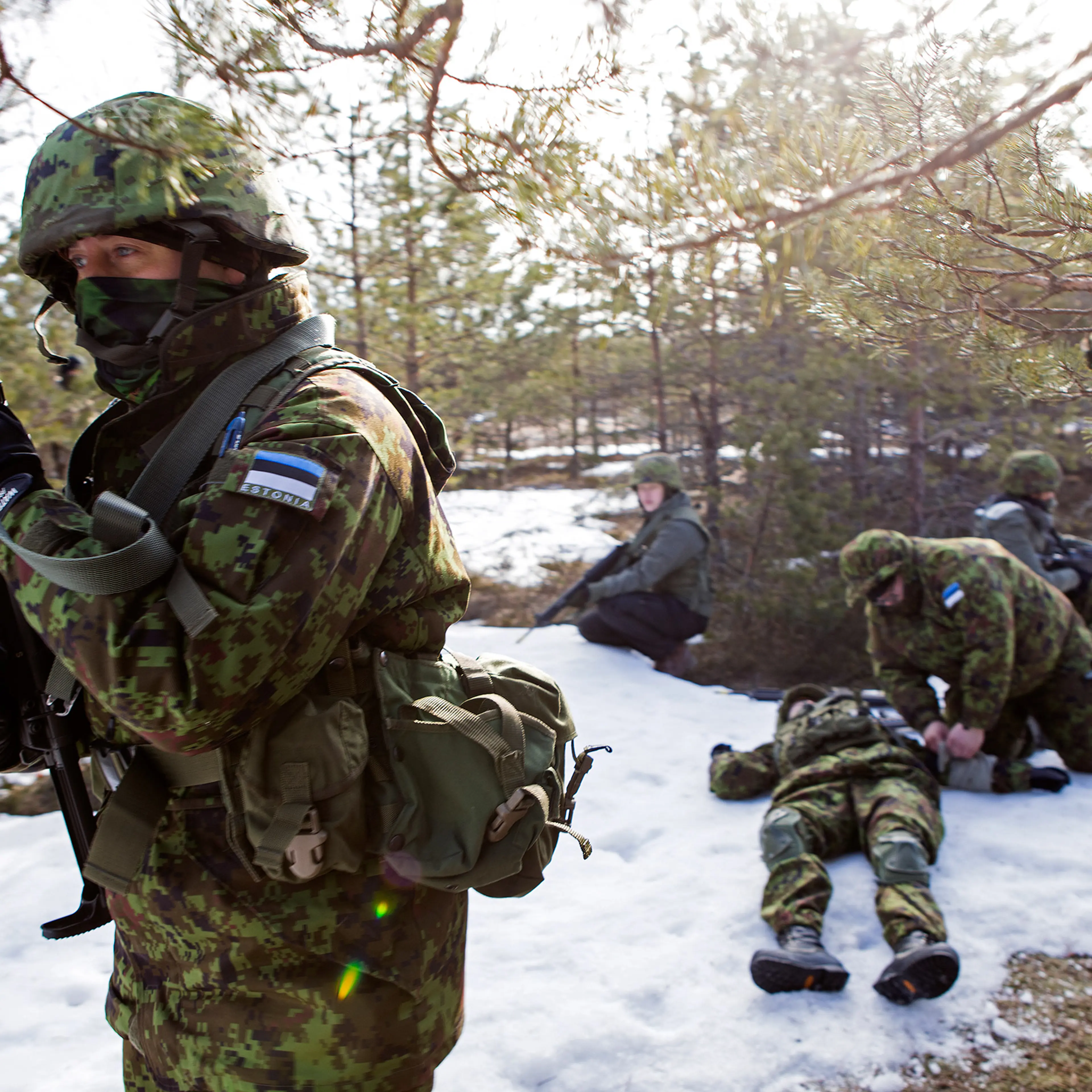 Trainees in the forest of Männiku, Estonia.
