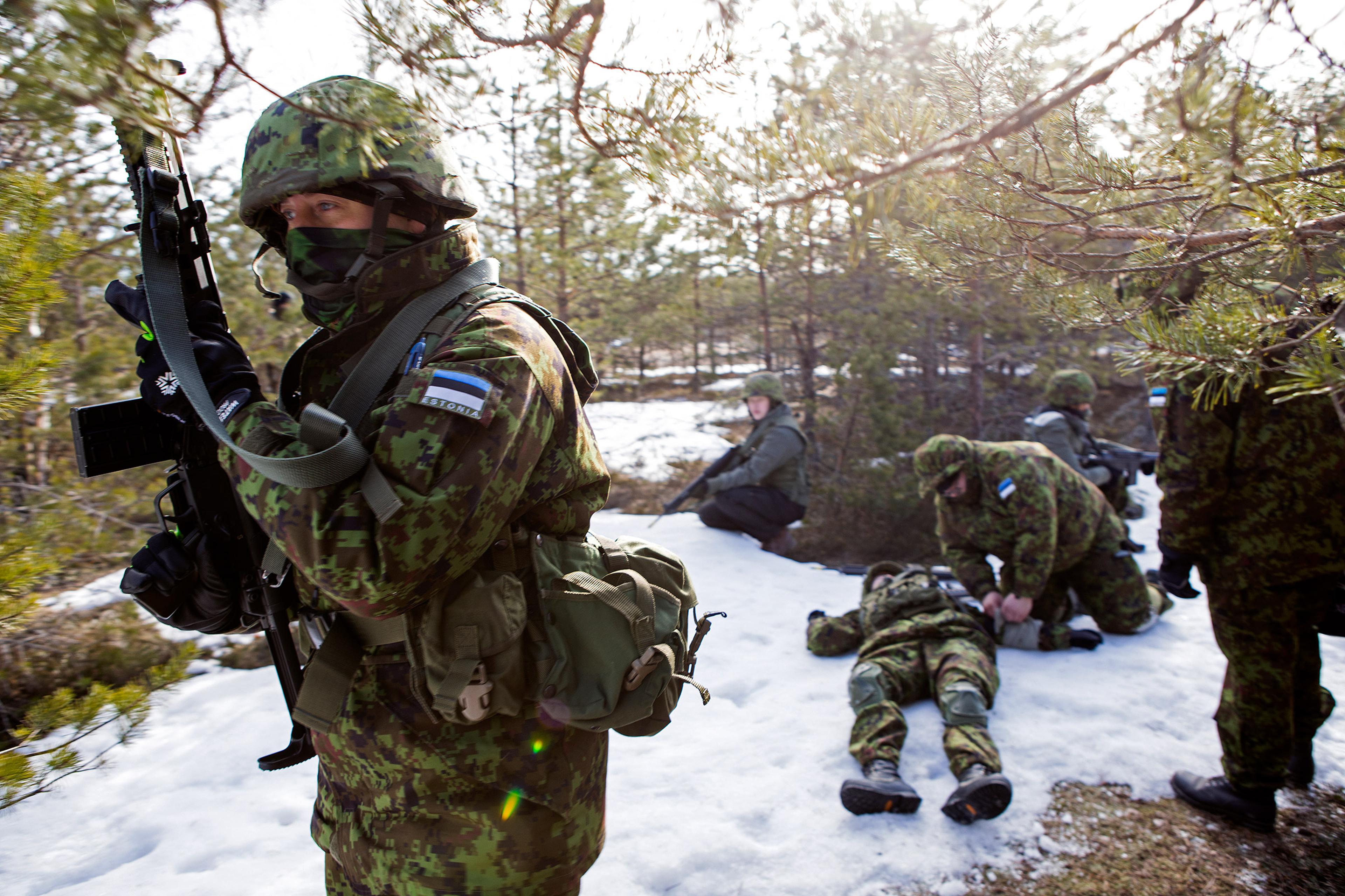 Trainees in the forest of Männiku, Estonia.