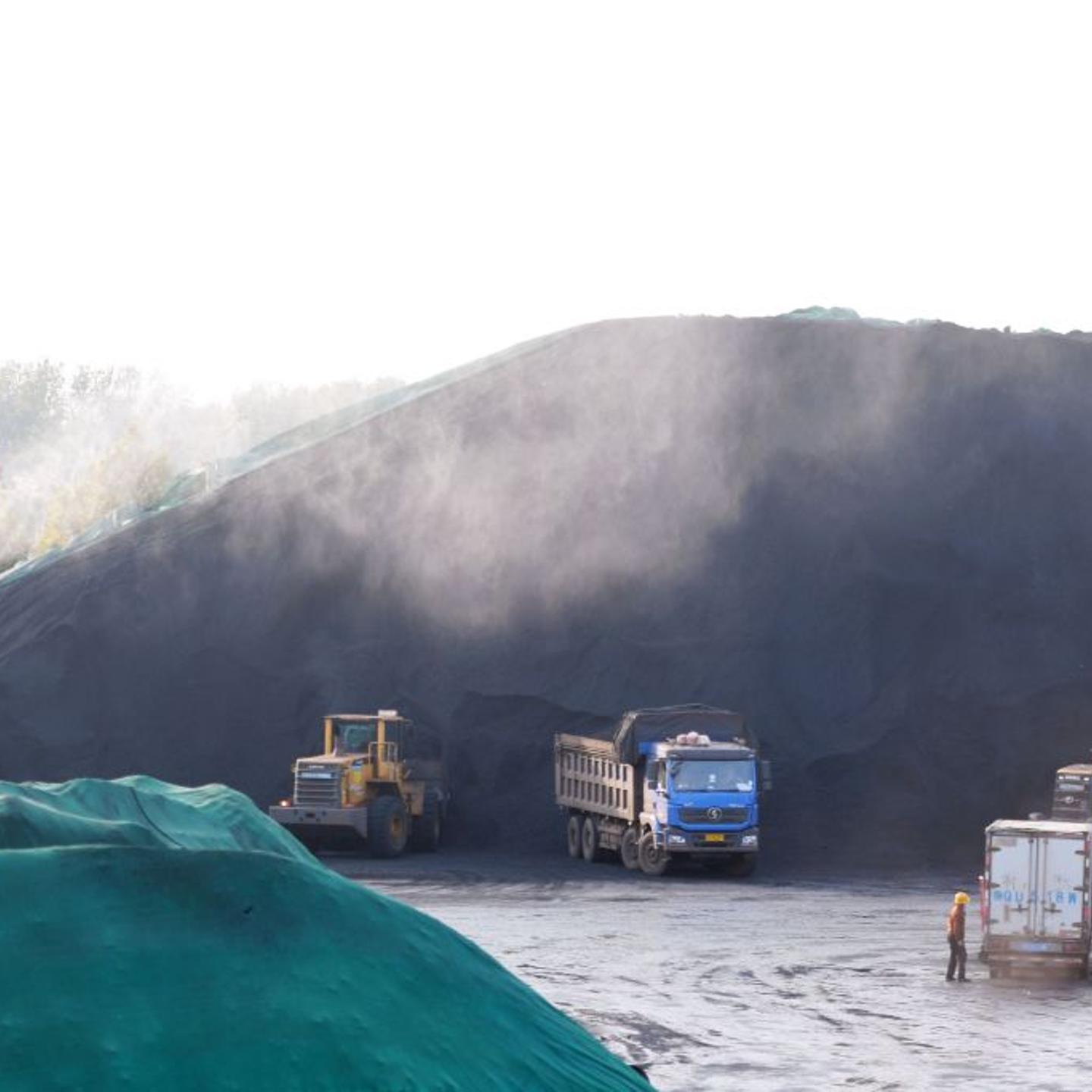Shandong Port Trade