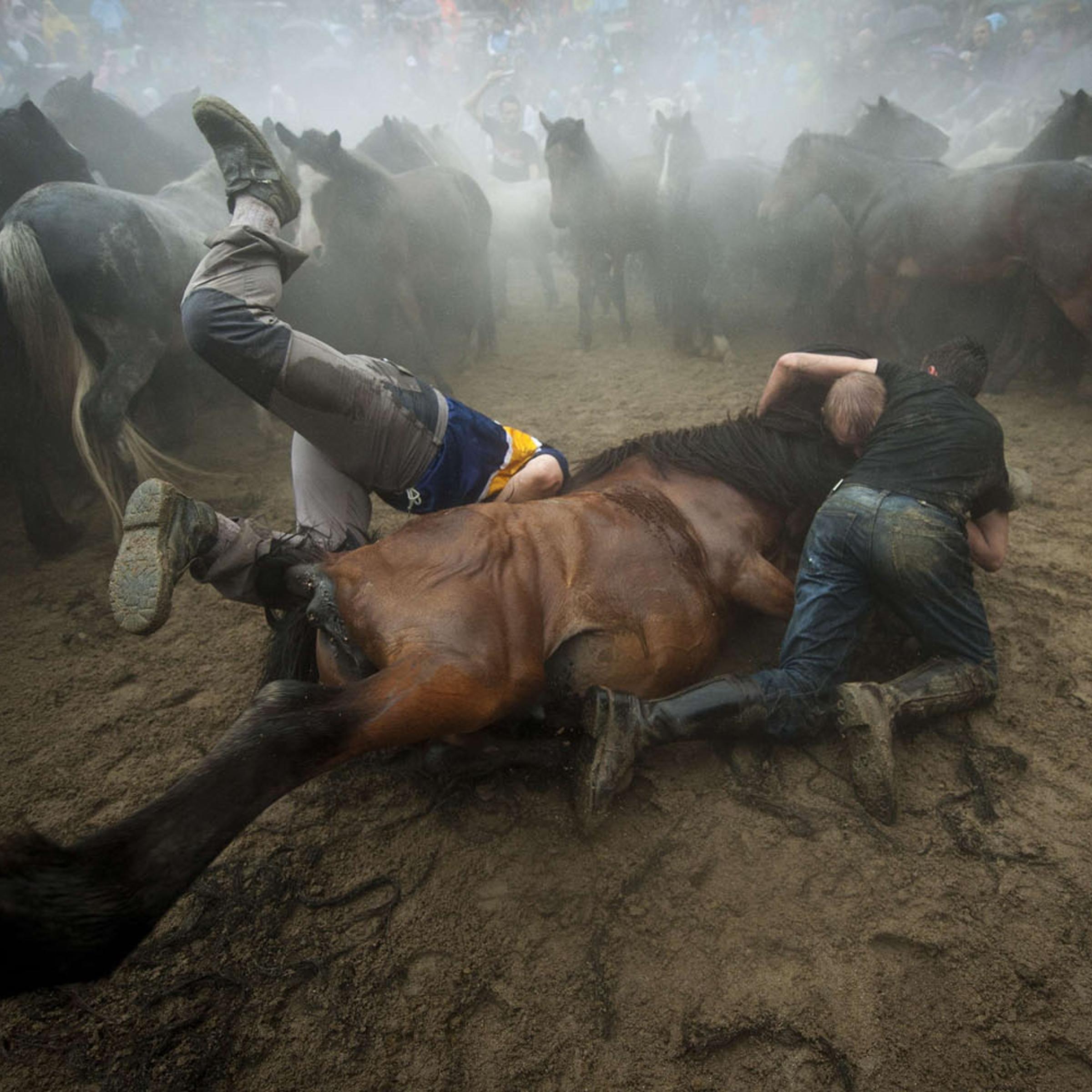 TOPSHOTS-SPAIN-FESTIVAL-HORSES-SHEARING-BEASTS