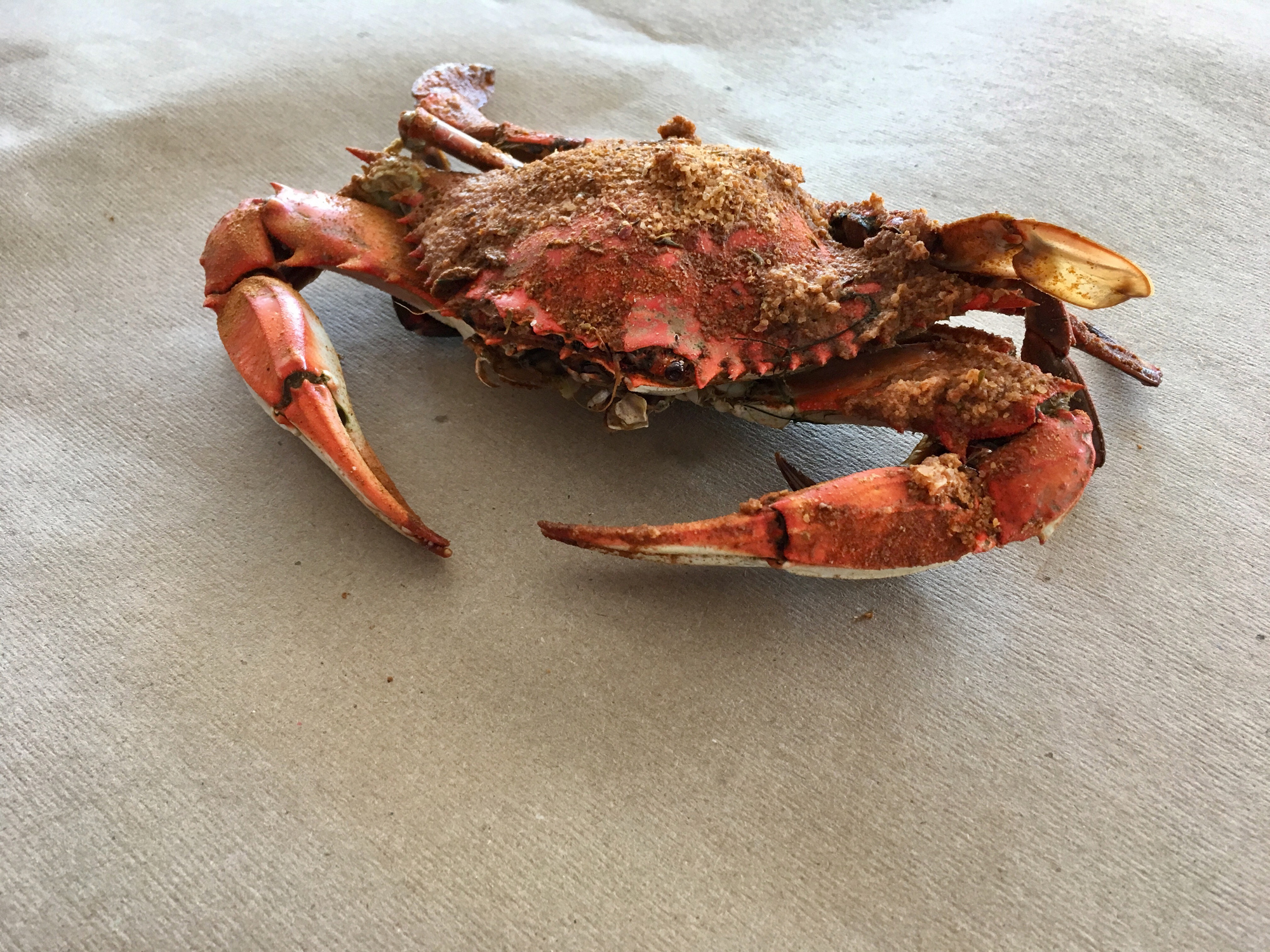 crab