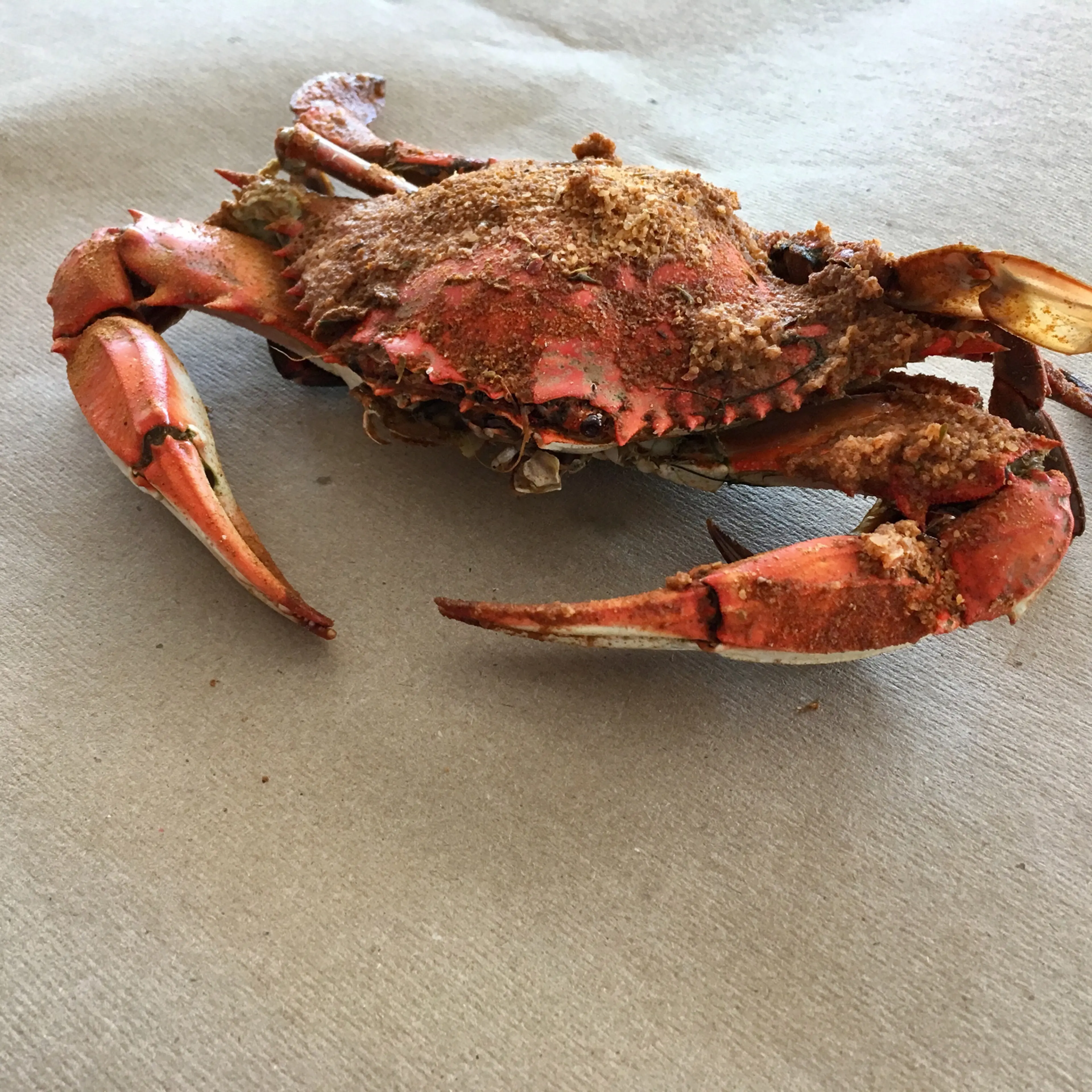 crab