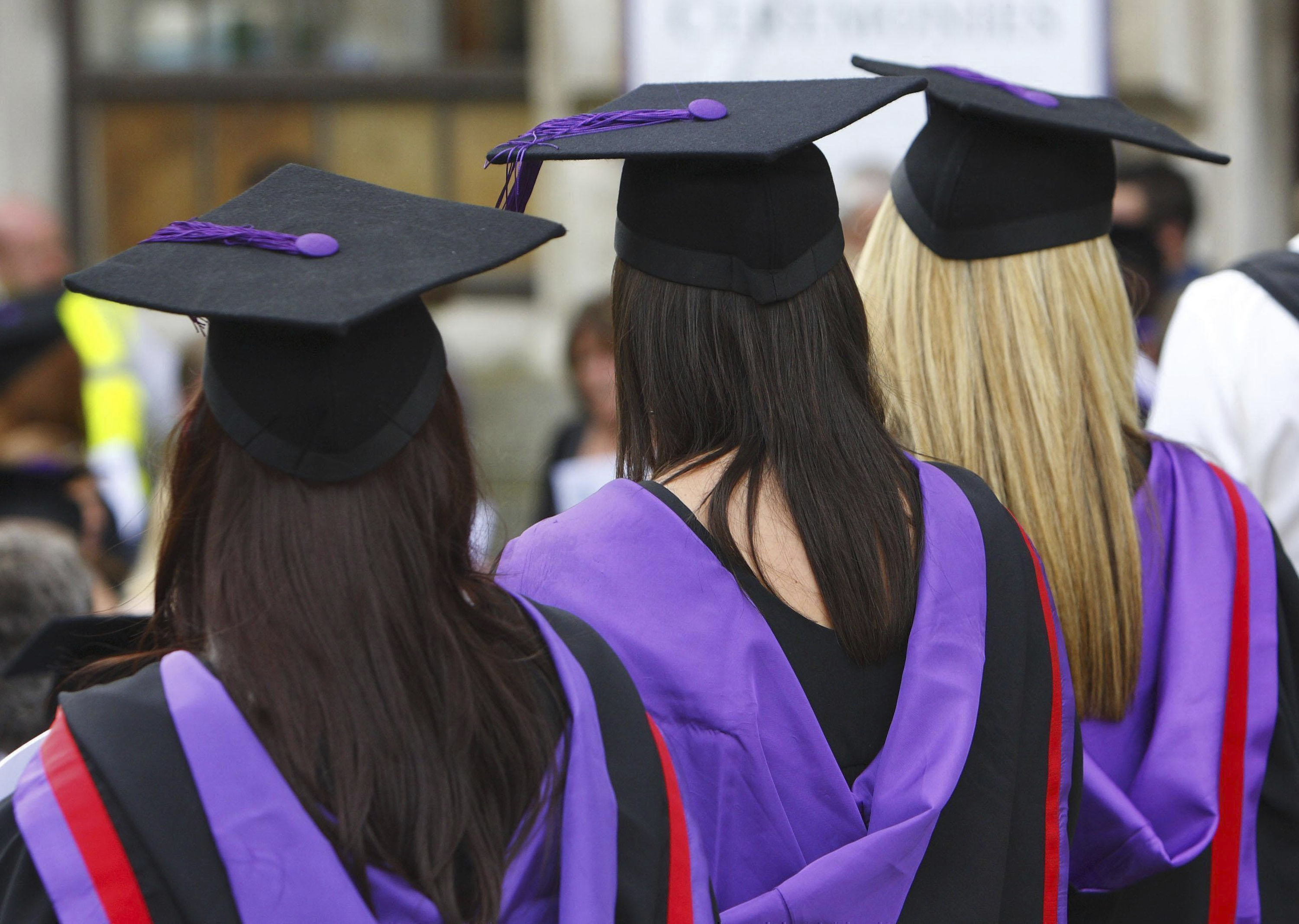 Economist on reforming university system