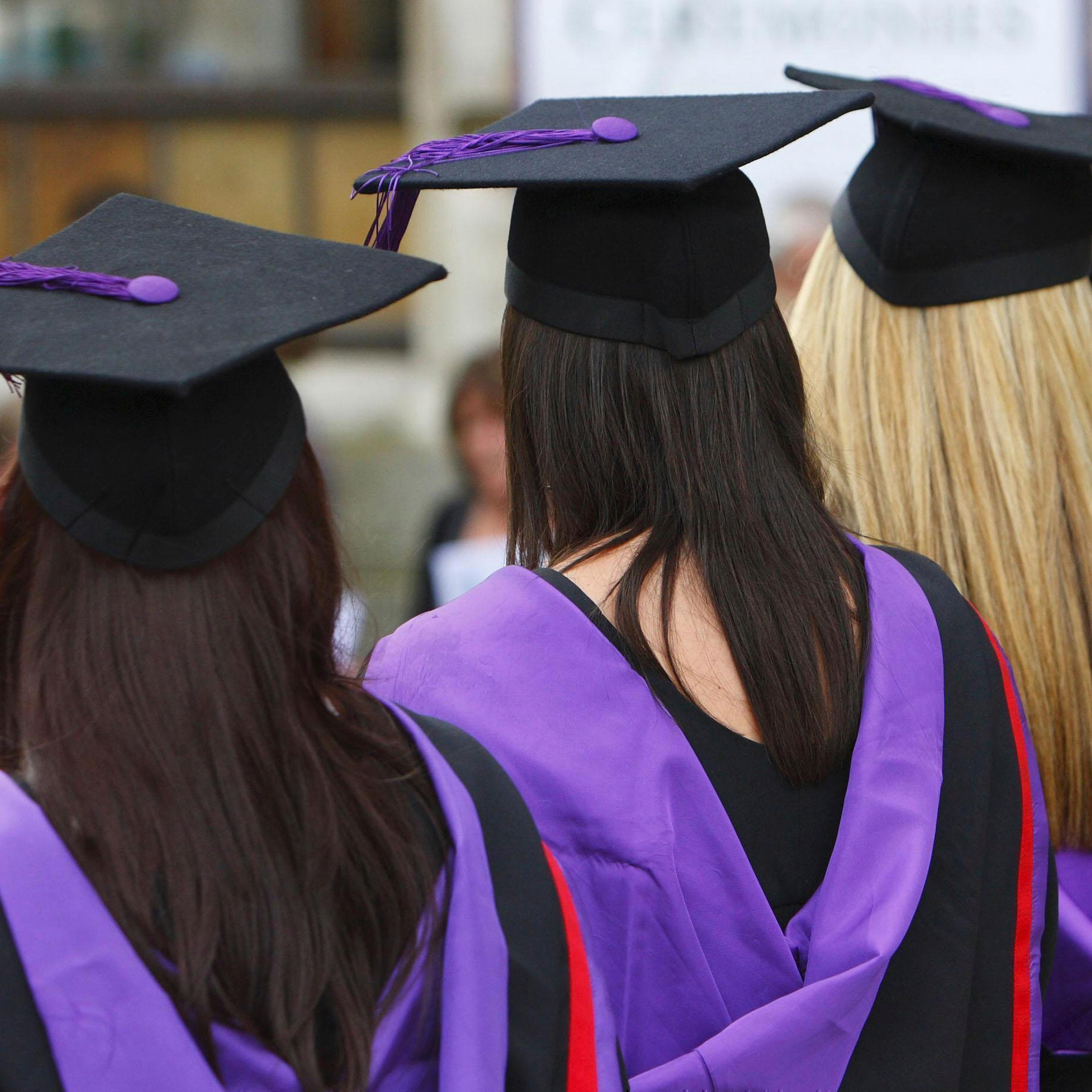 Economist on reforming university system